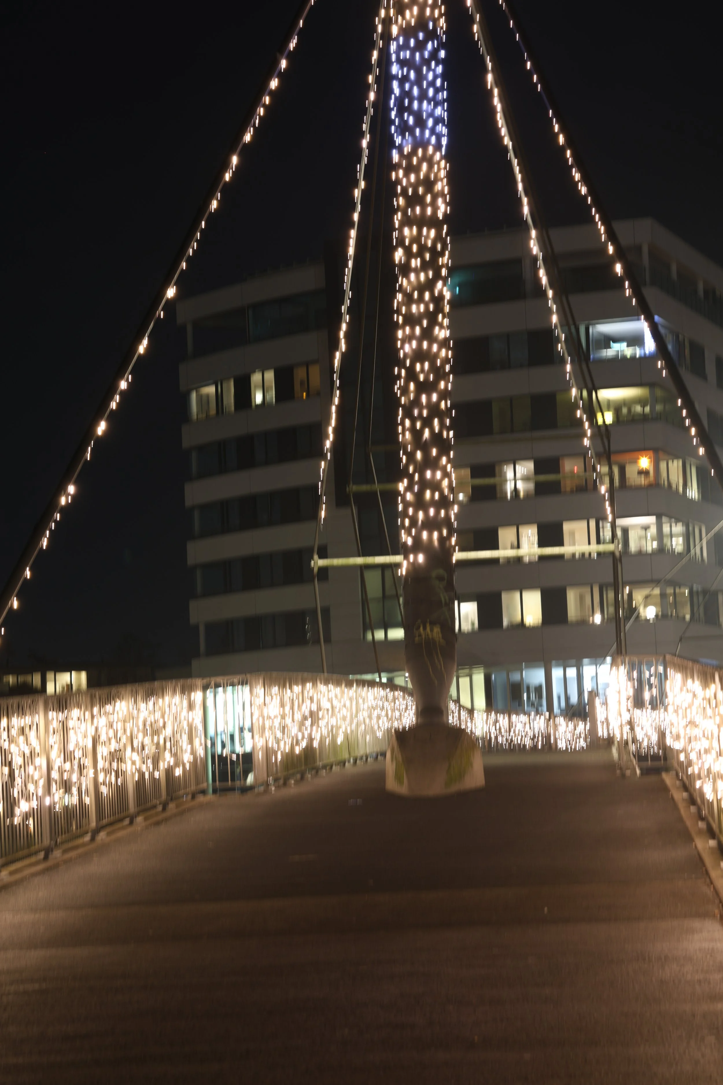 Weihnachtsmarkt Leer001 (70).JPG
