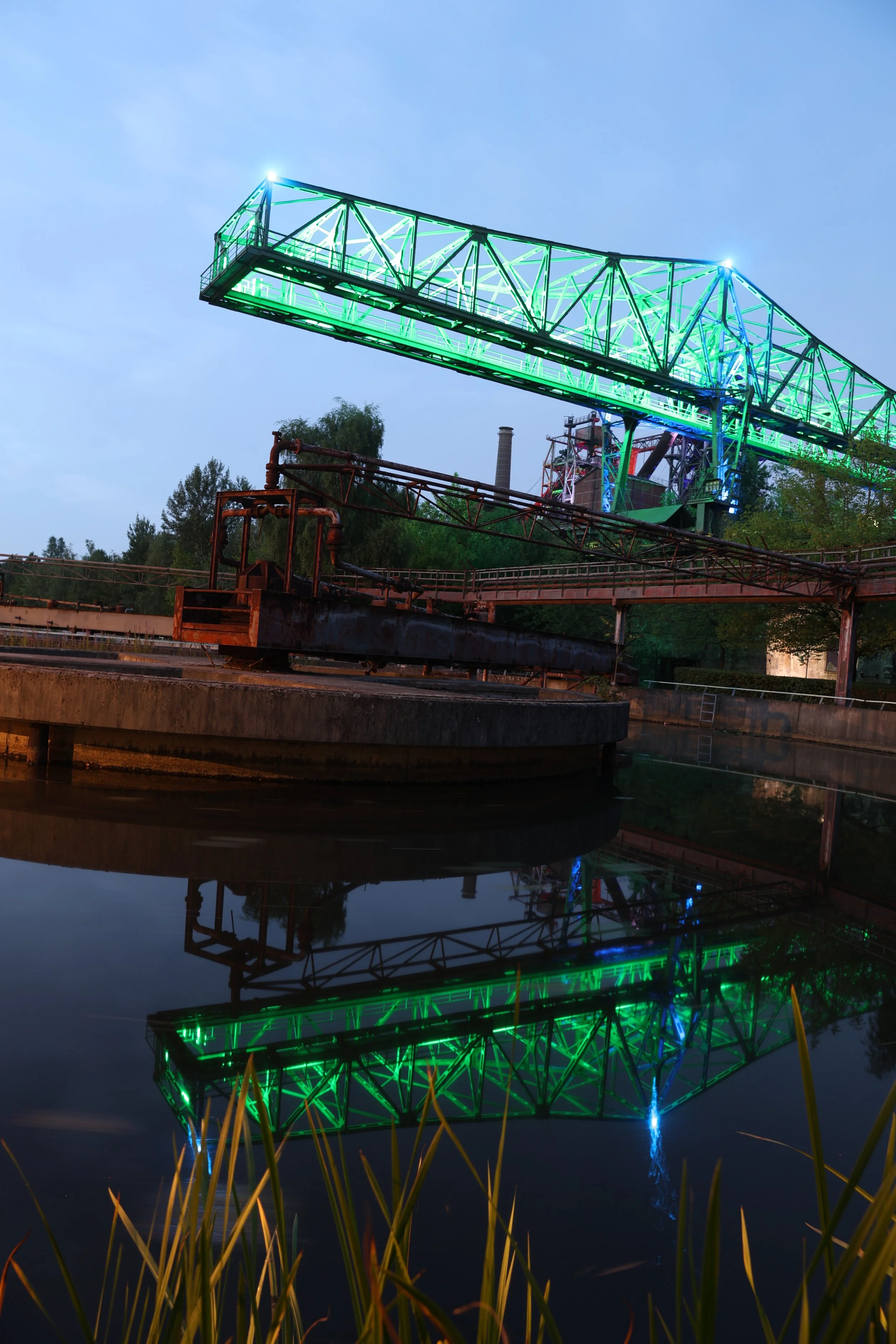 R6II6135.JPG