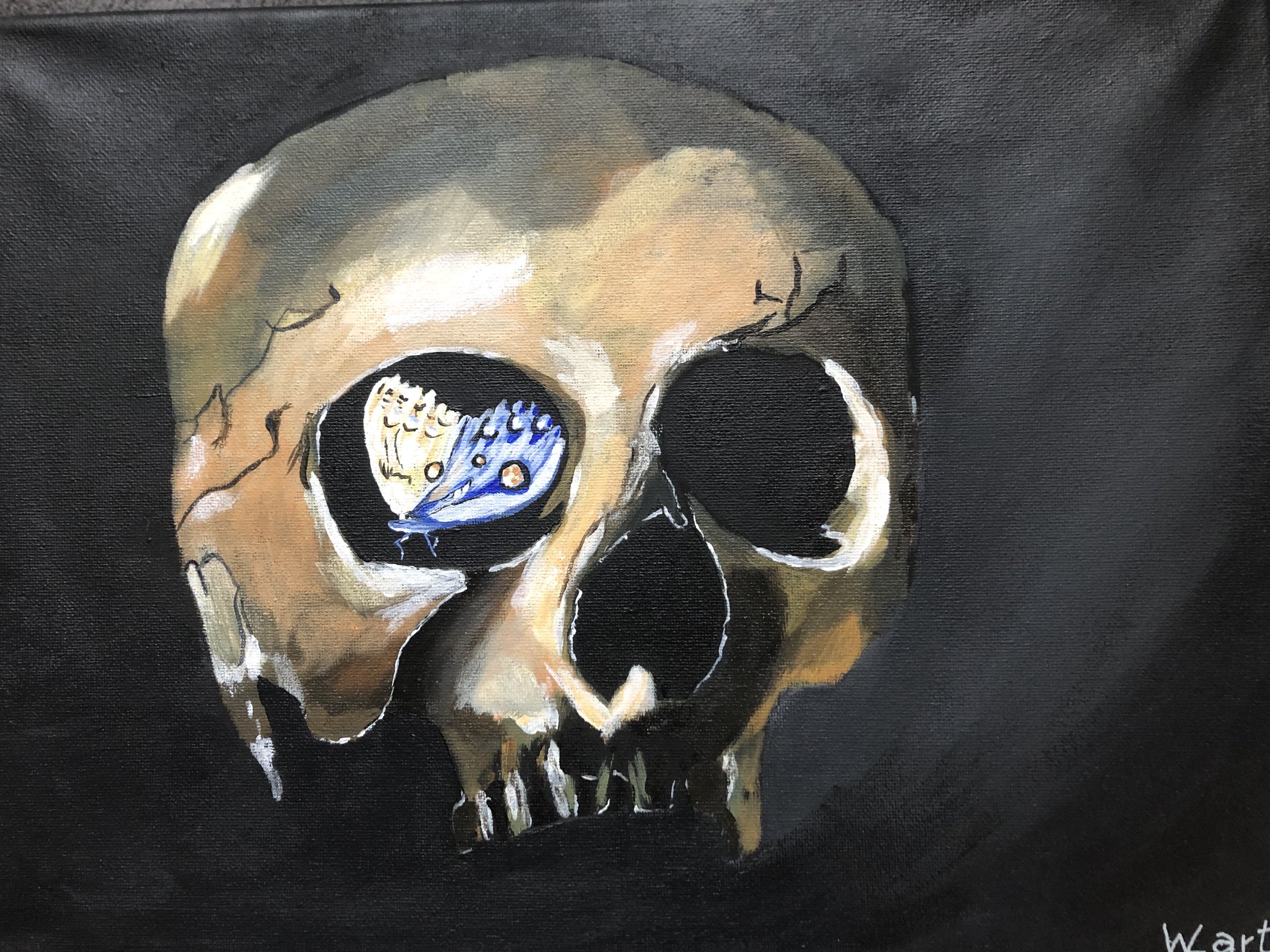 Skull and Butterfly Dez 22.JPG