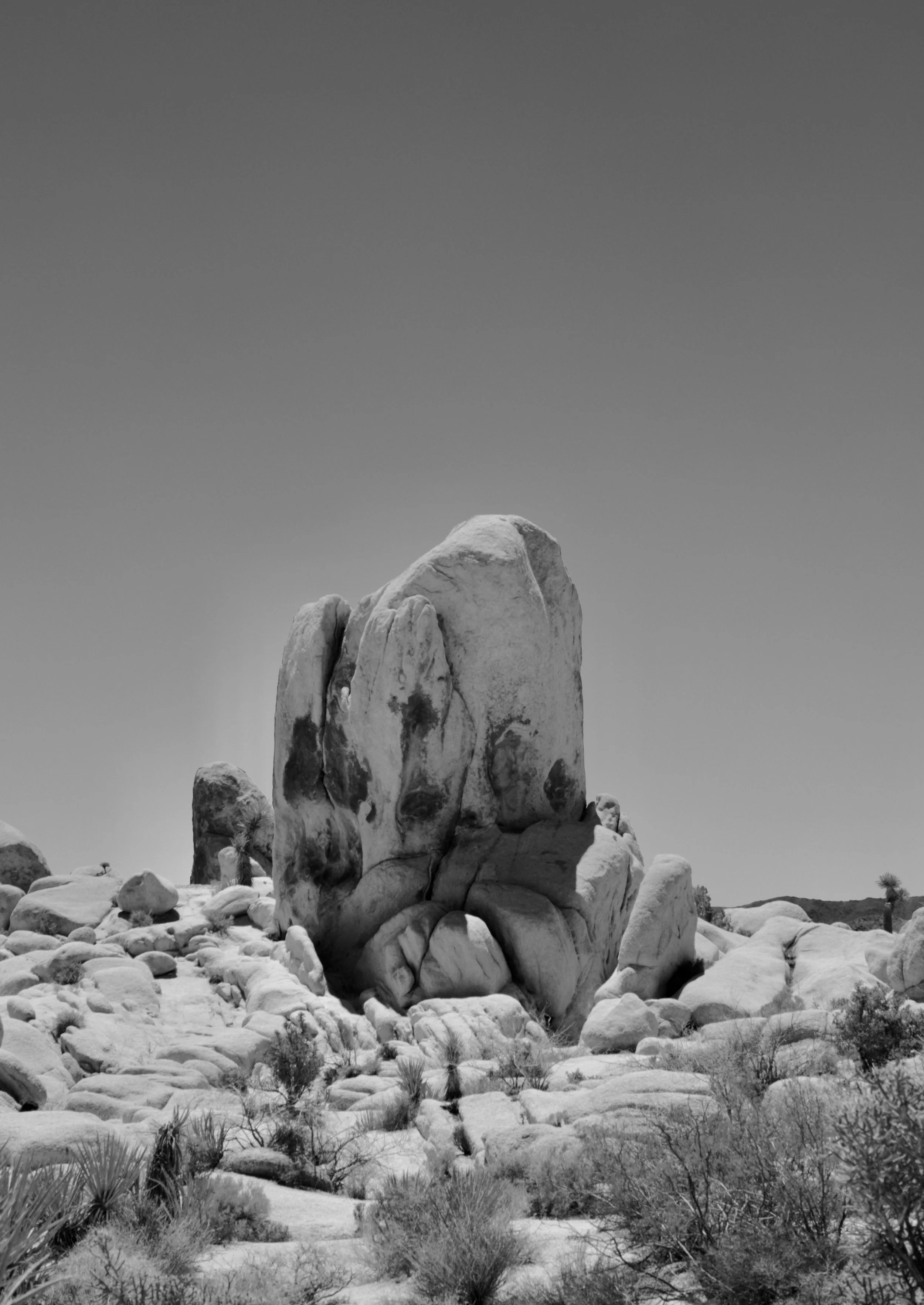 Joshua Tree National Park