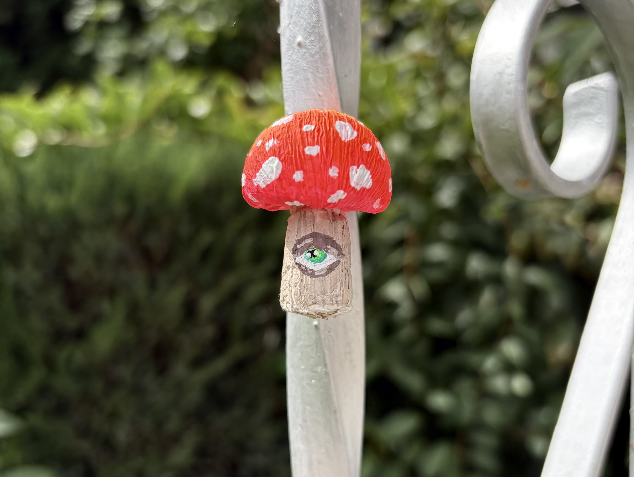 Mushroom Magnet