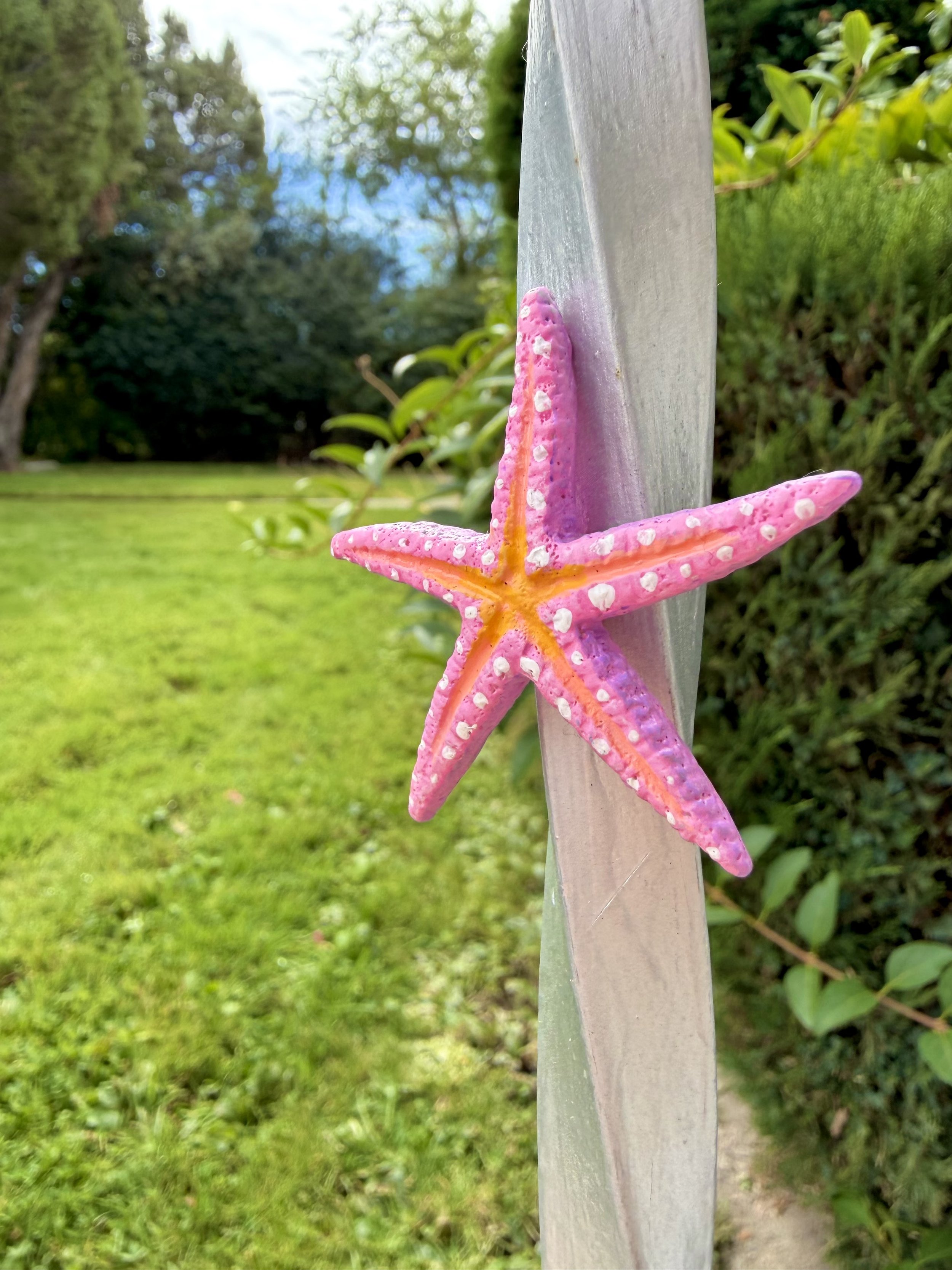 IMG_8203.jpeg