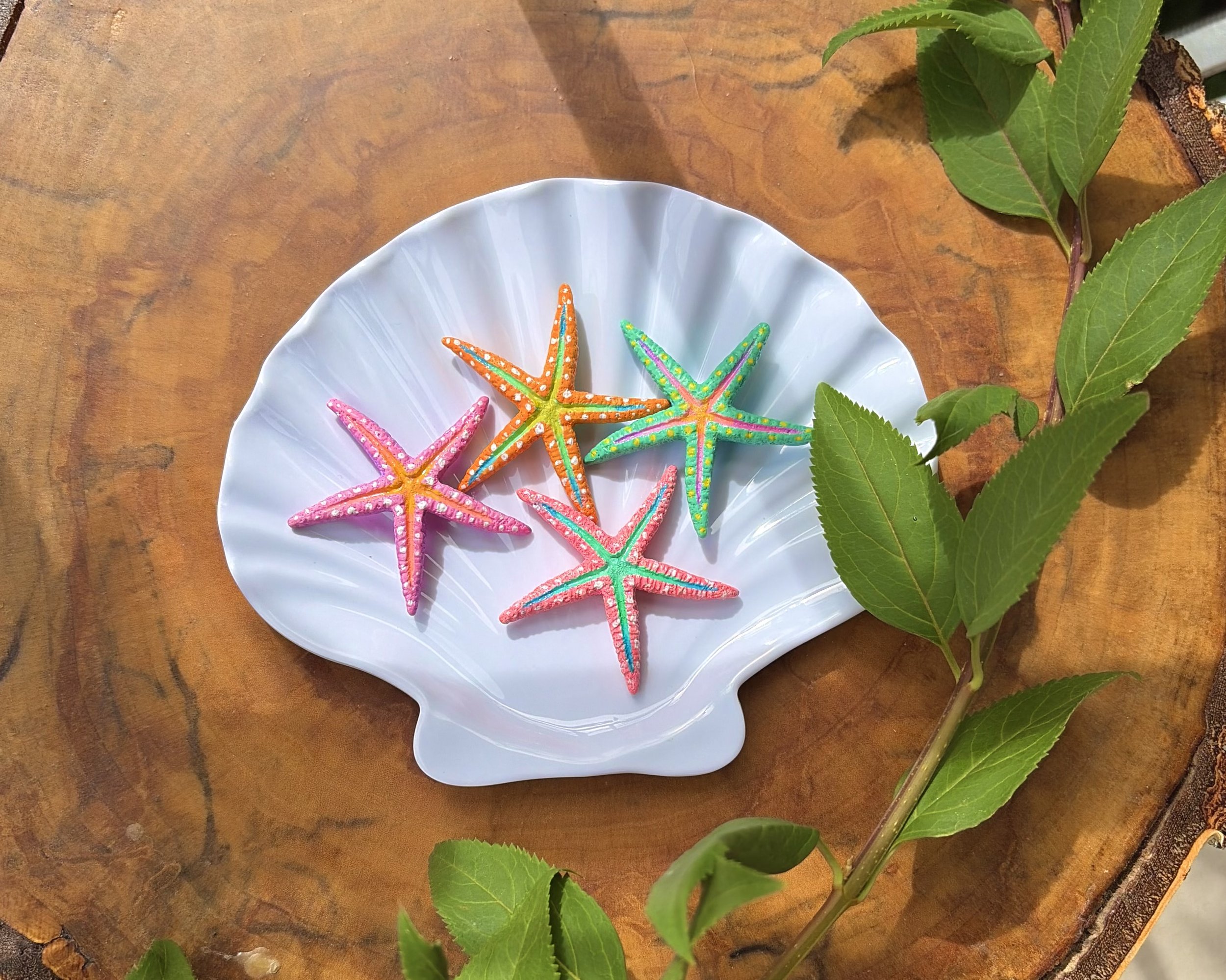 Starfish Magnet 4-Pack