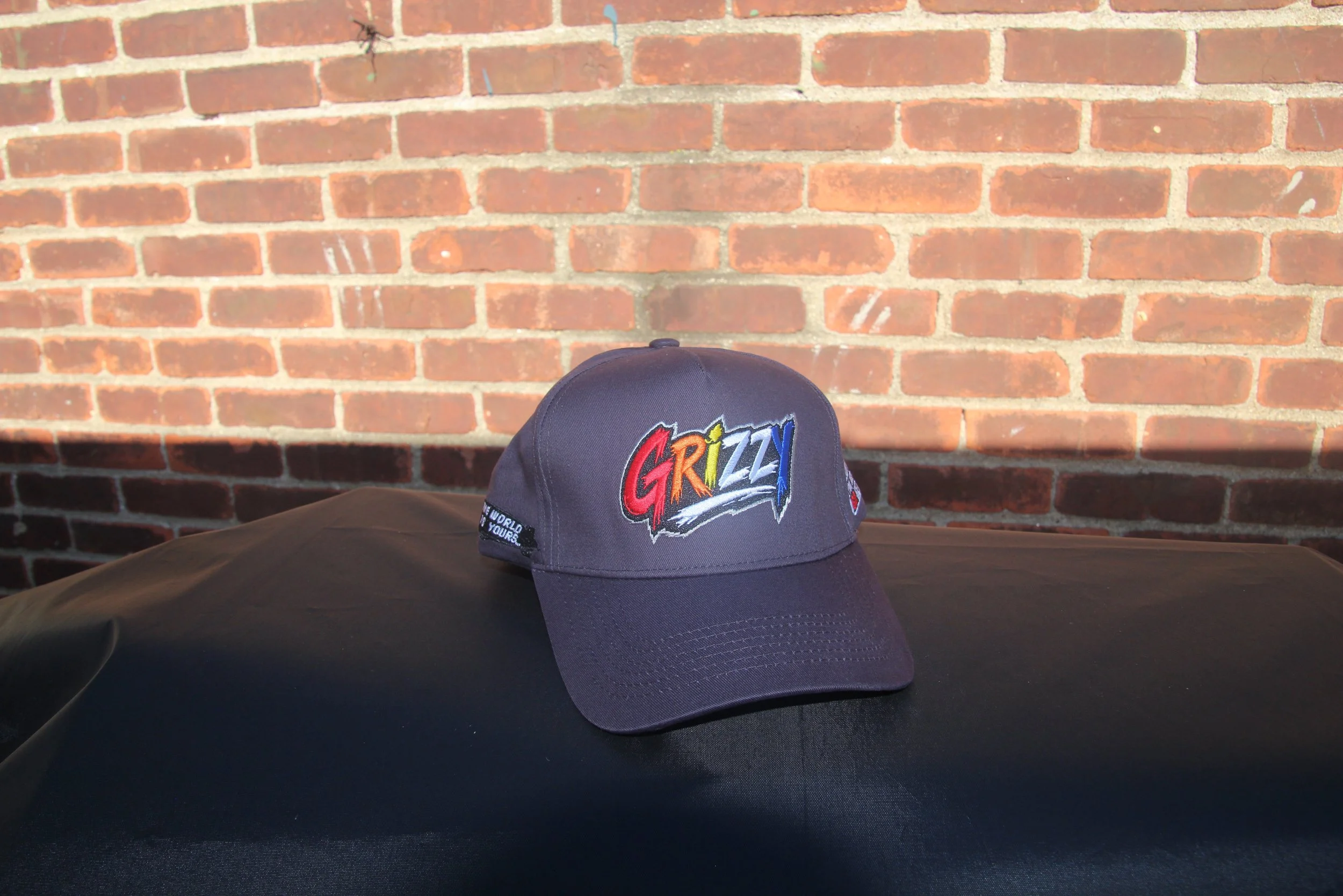 GRIZZY HAT BLACK