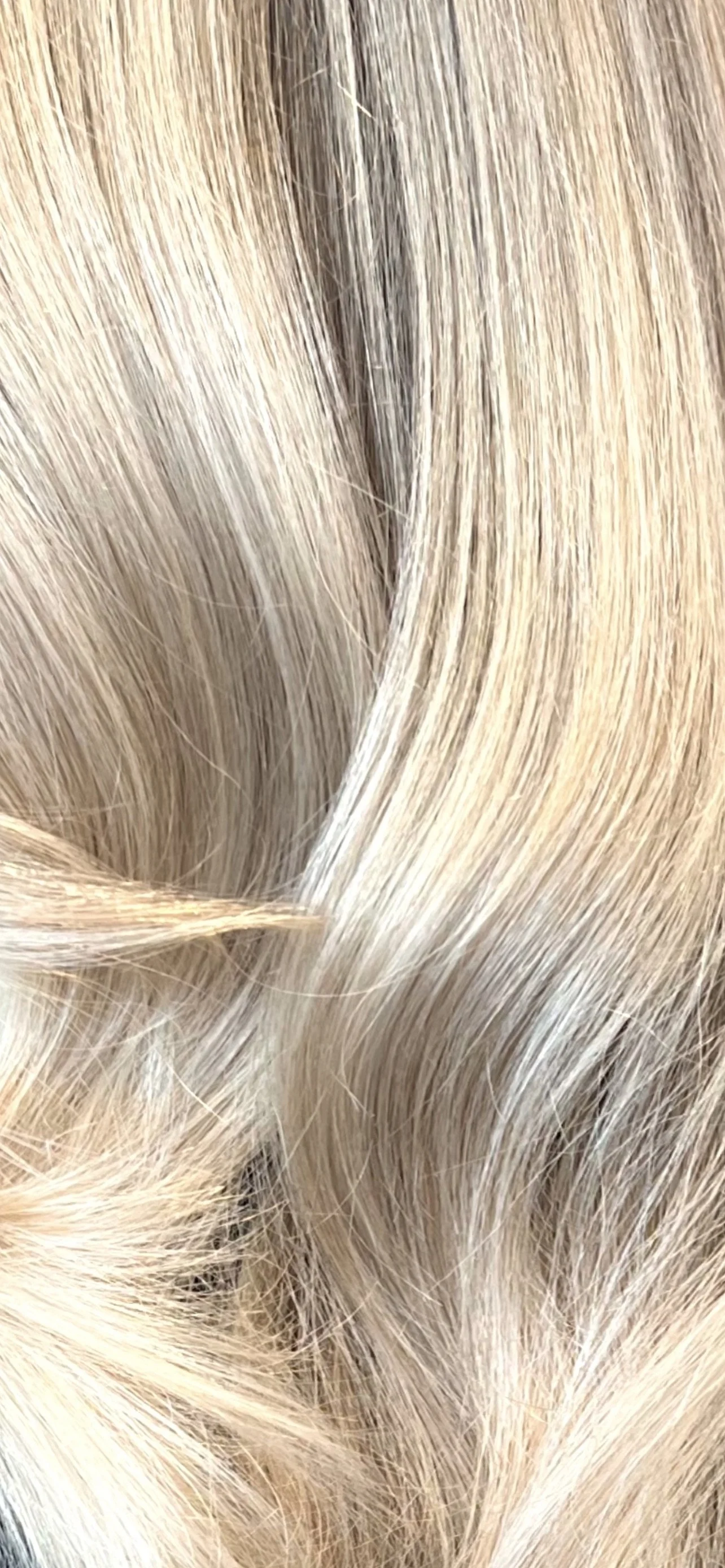 Champagne Blonde hair color transformation, showcasing a stunning result by Dalina Rivas.