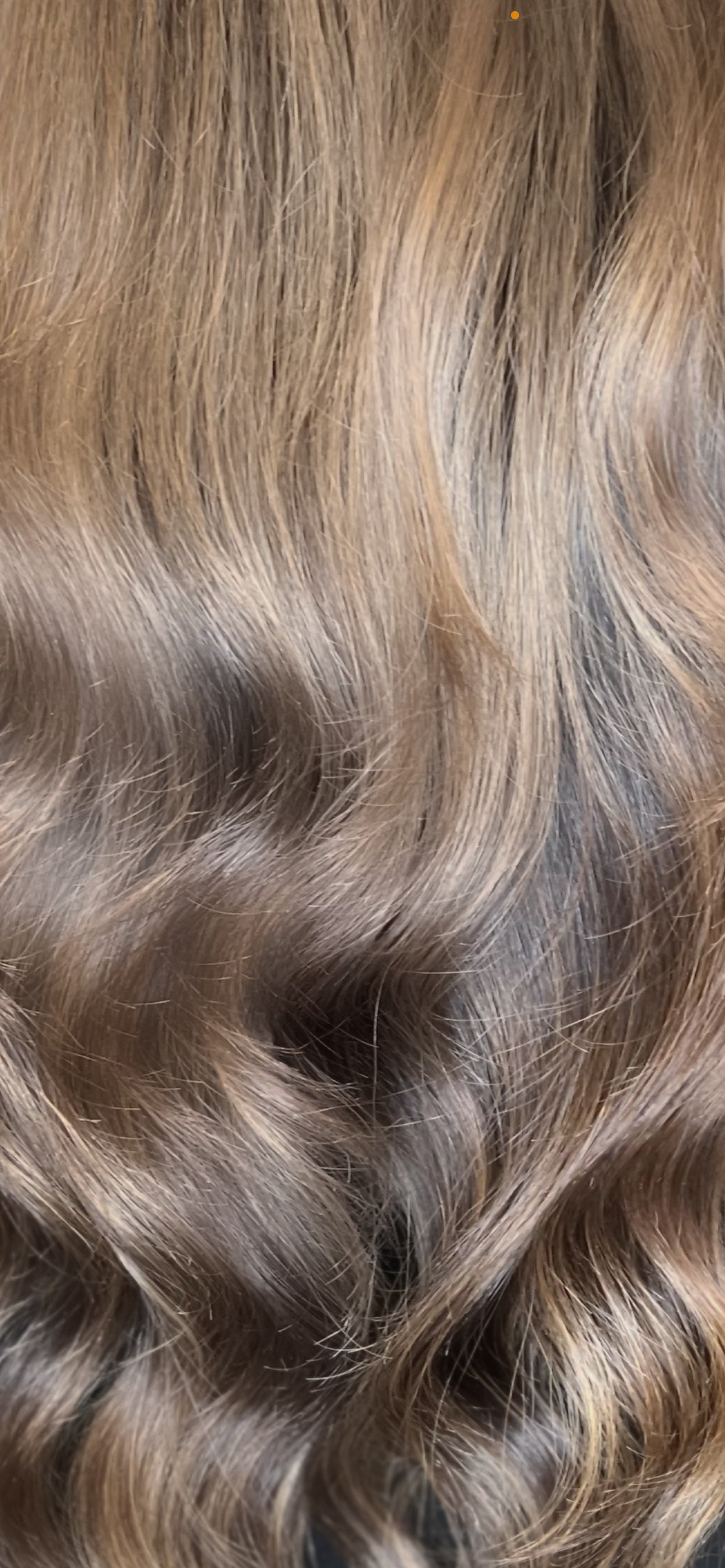 Dark Smoky Beige hair color transformation, showcasing a stunning result by Dalina Rivas.