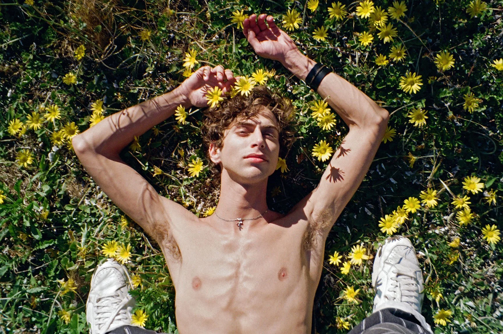 JESSE DANDELIONS, 2026
