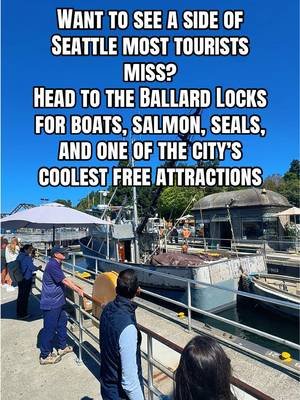 Ballard Locks: Boats, Salmon, and One of My Favorite Seattle Stops