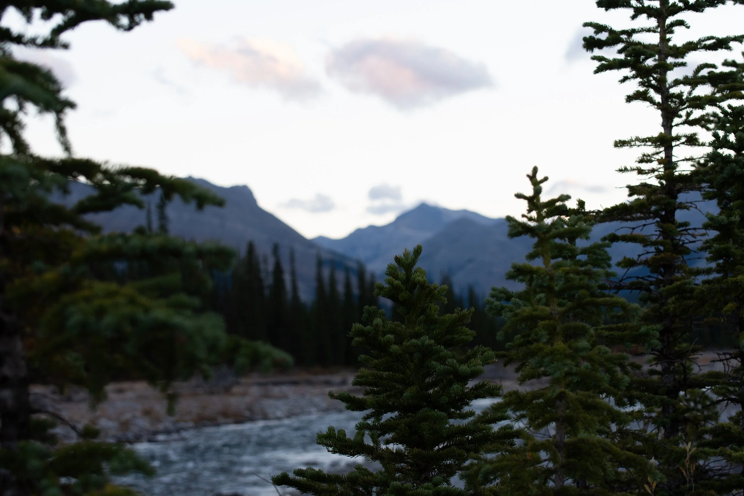 DSC_1899.jpg