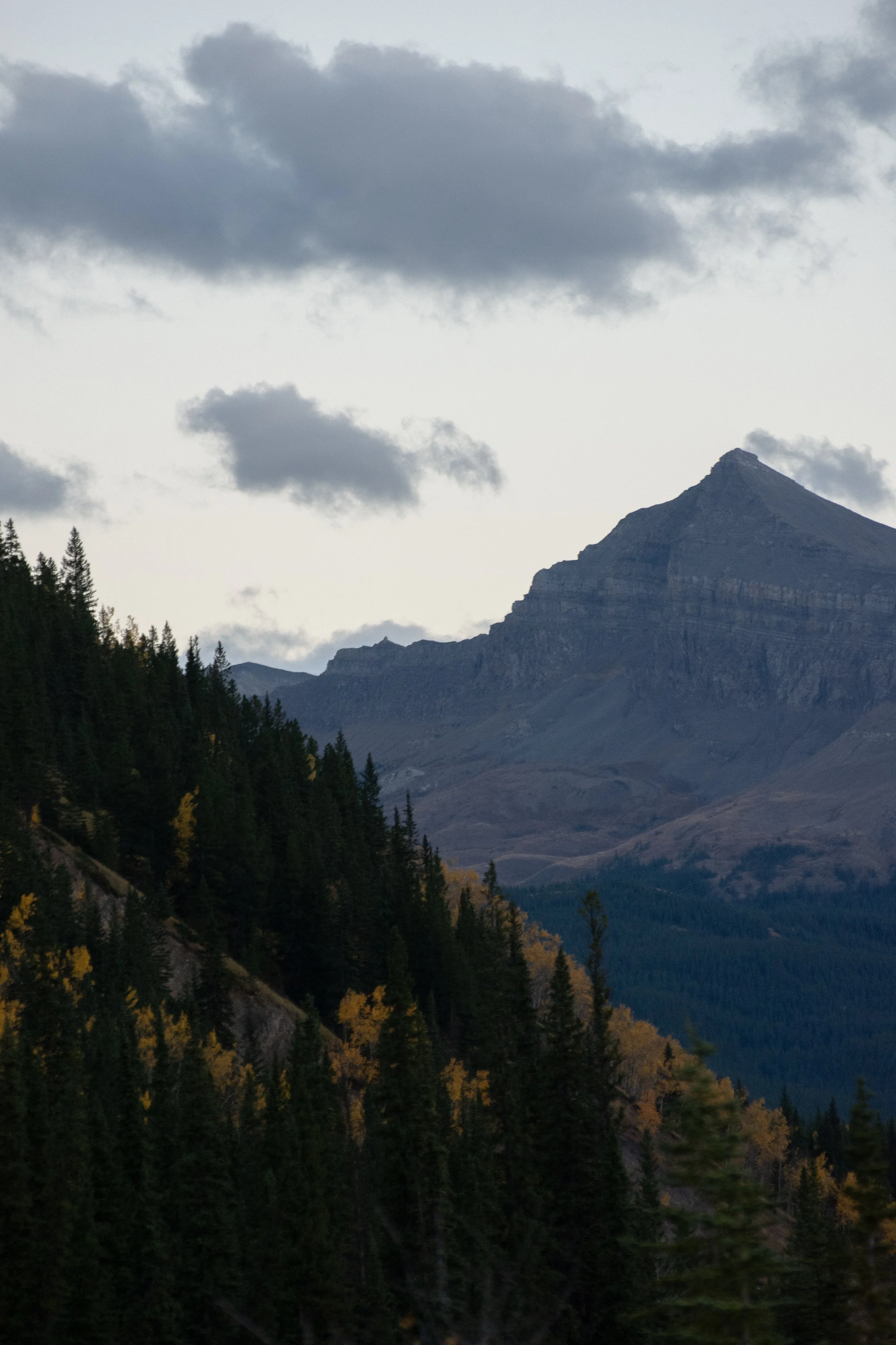 DSC_1980.jpg