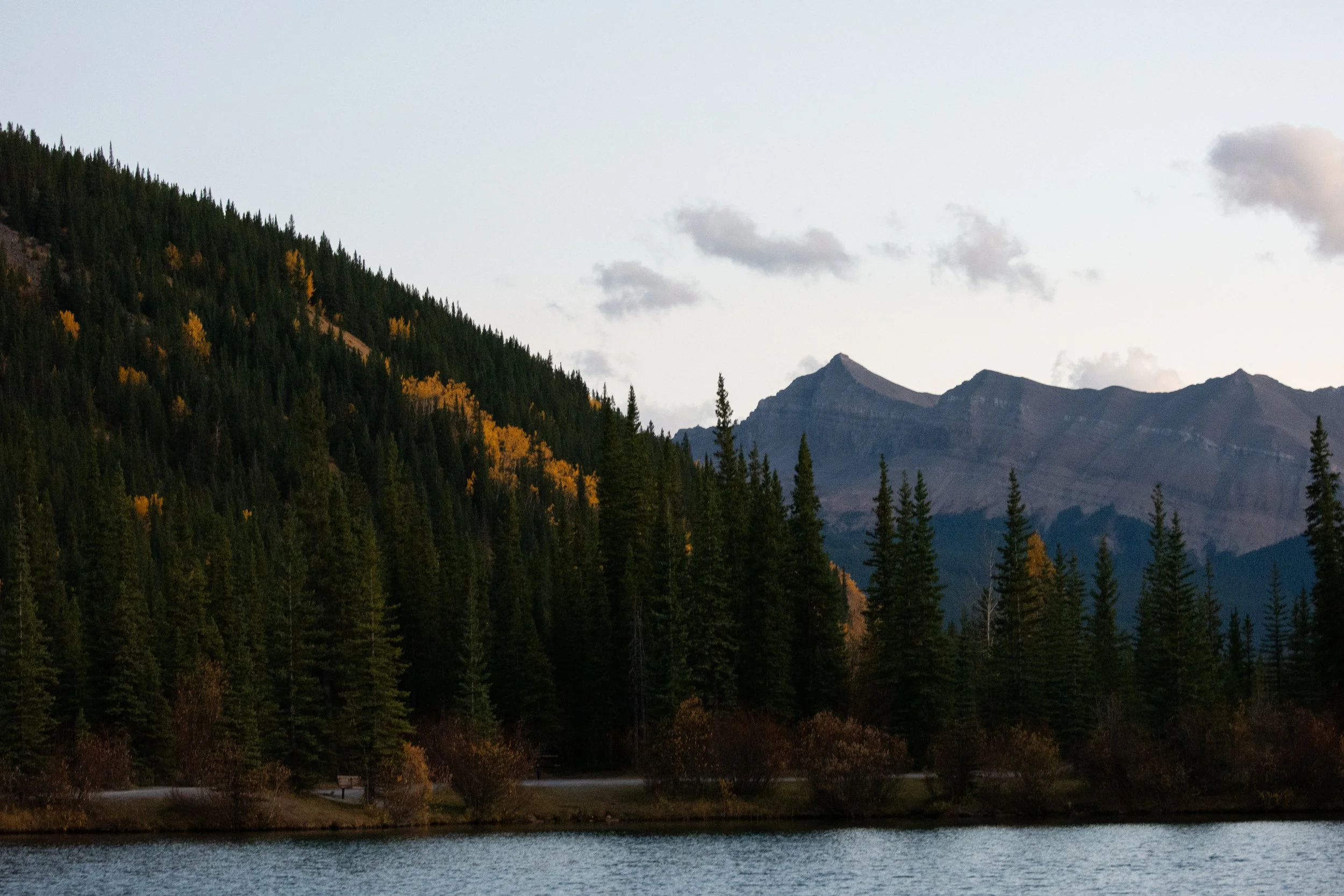 DSC_2087.jpg