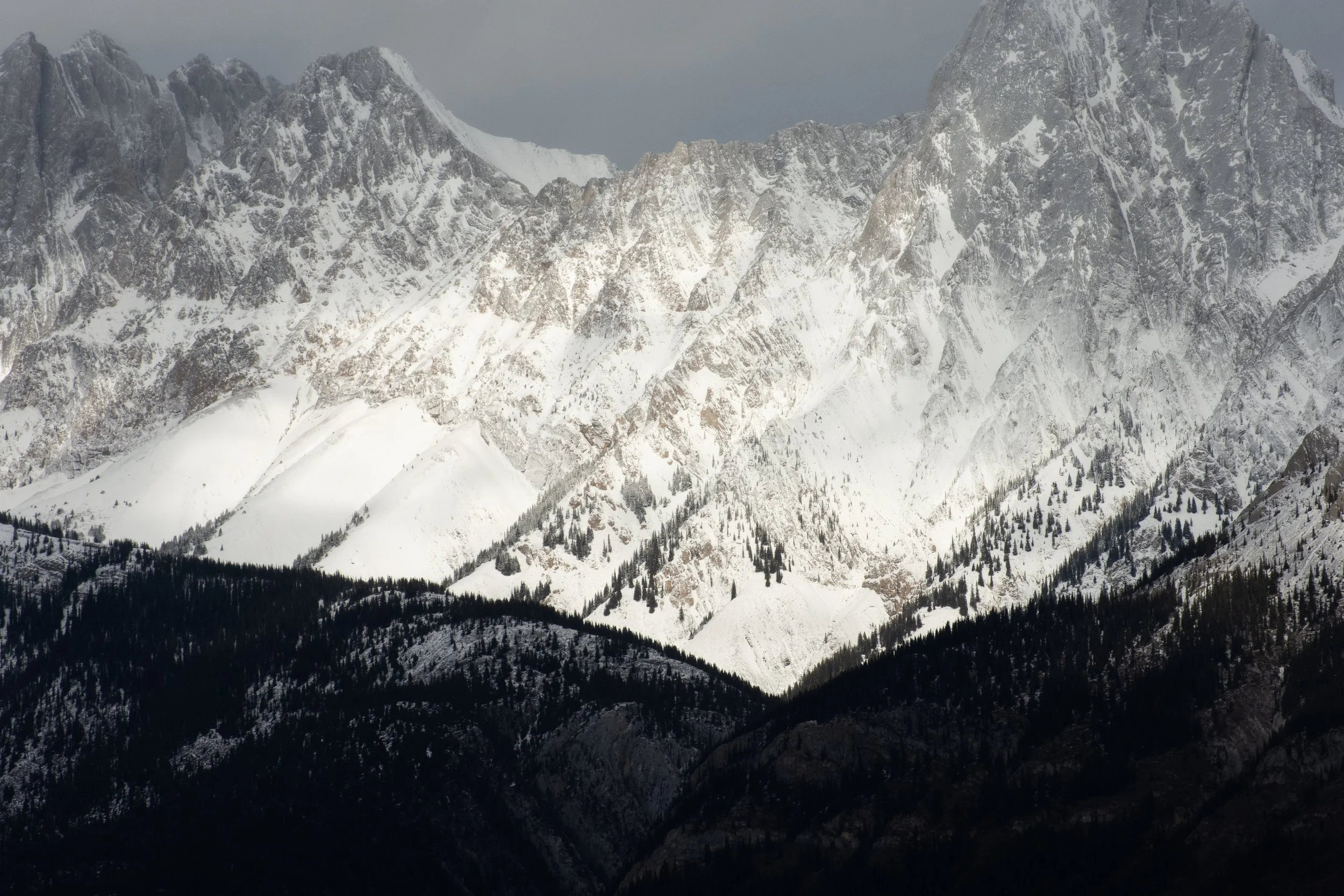 DSC_6824.jpg