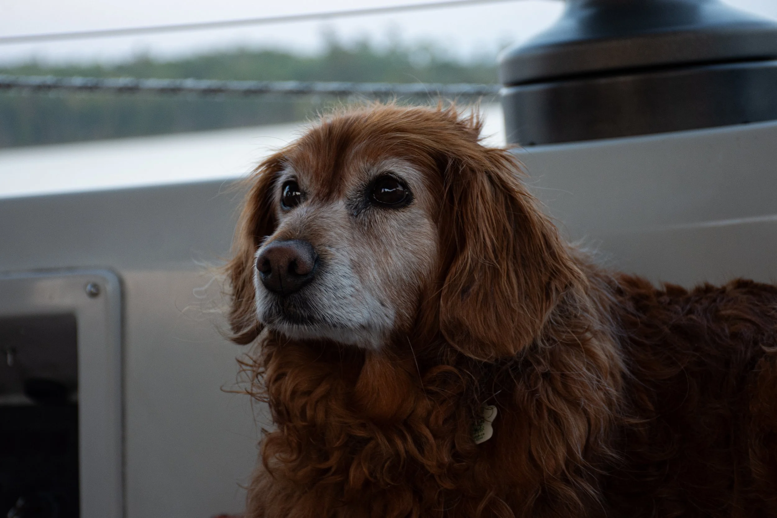 DSC_2685.jpg