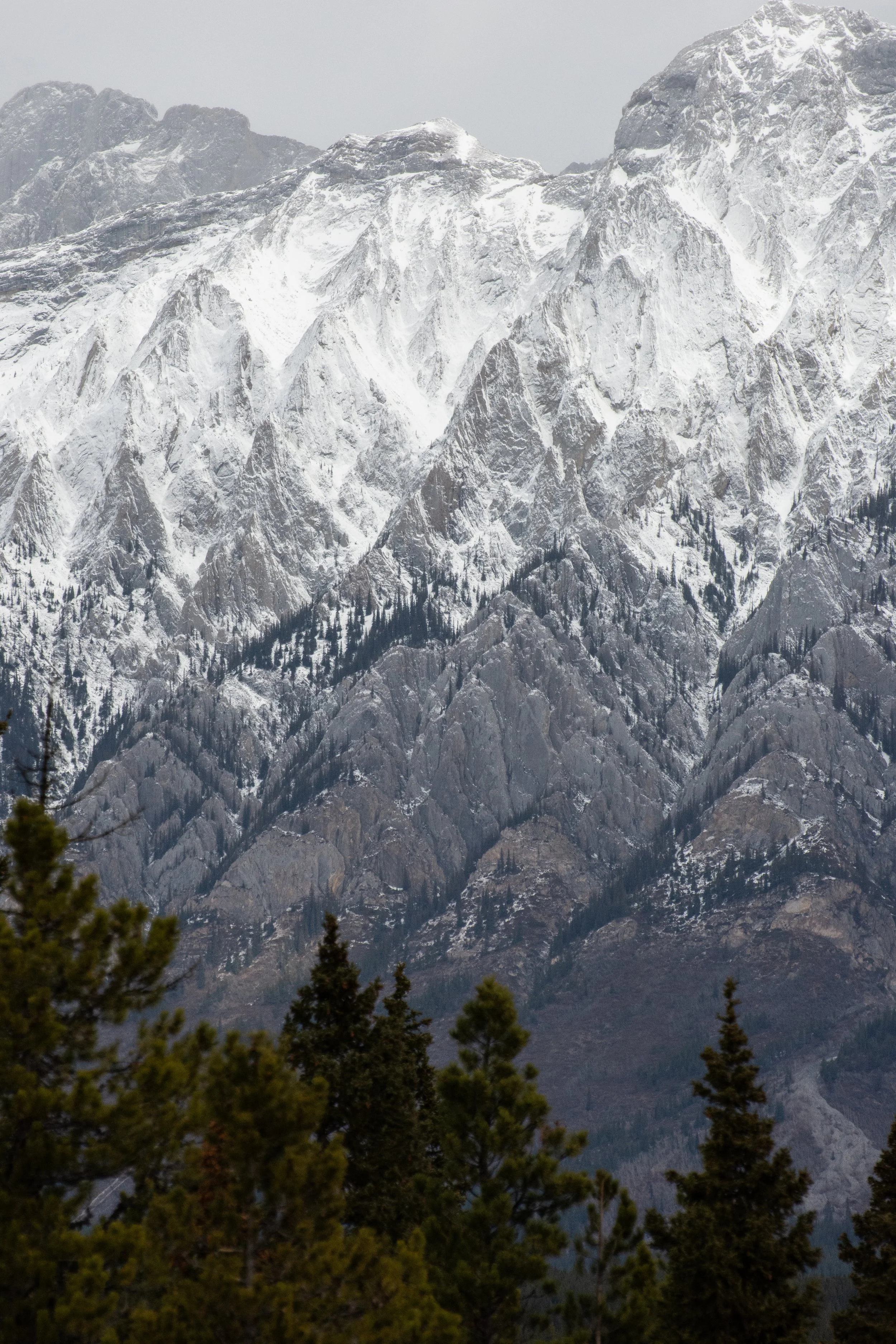 DSC_6803.jpg