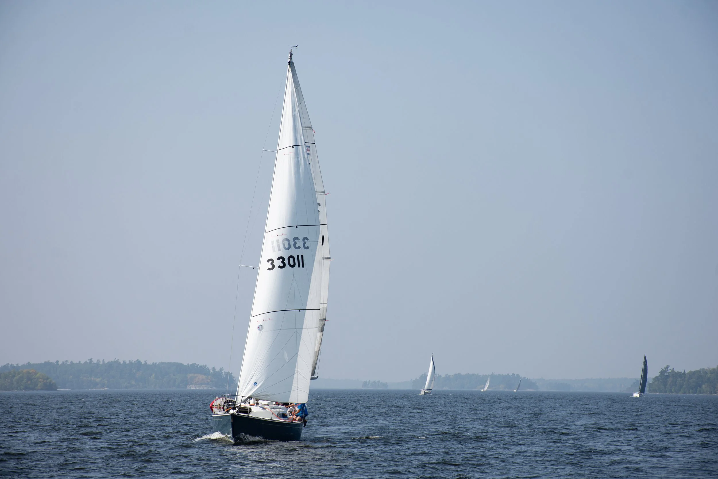 DSC_2564.jpg