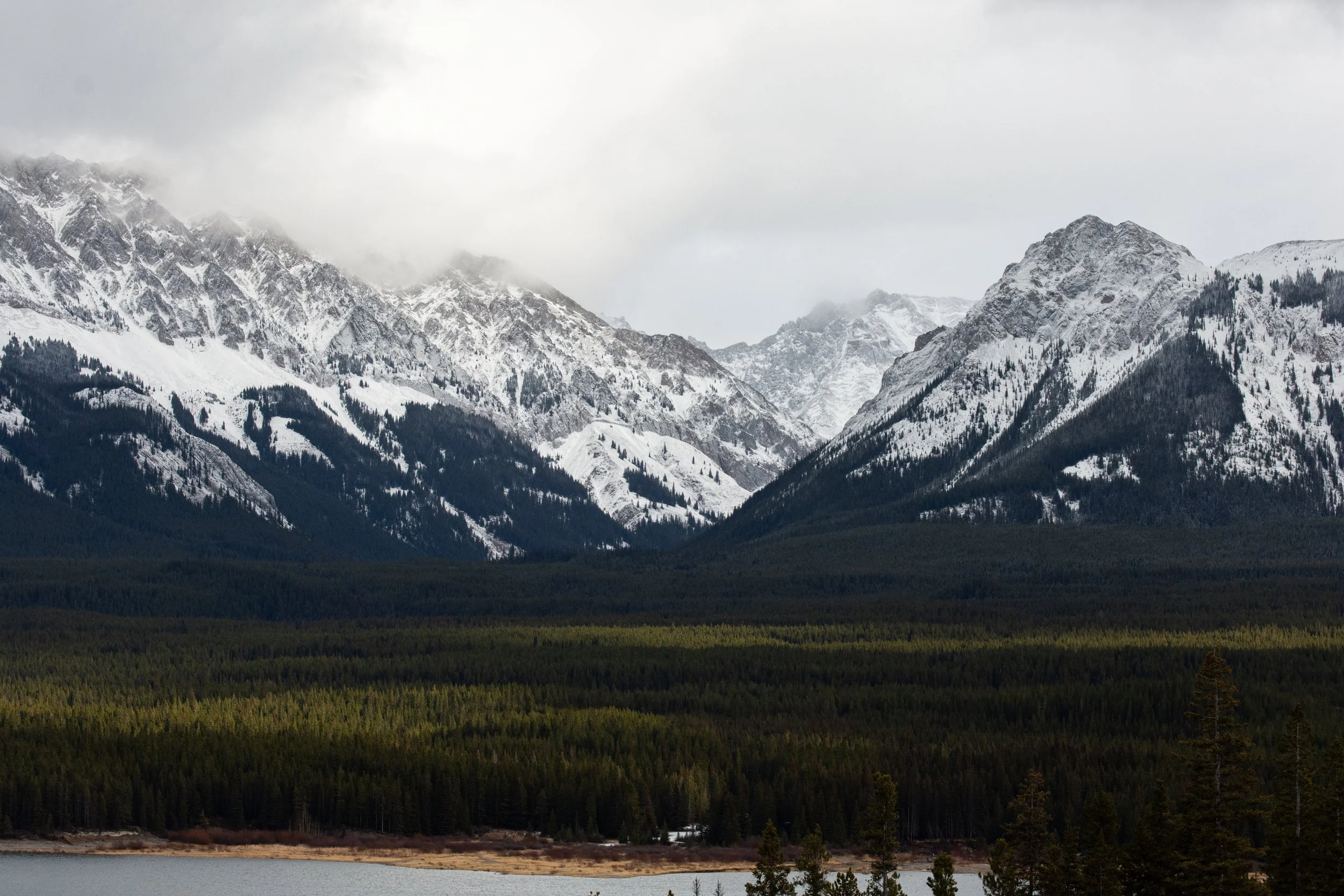 DSC_6794.jpg