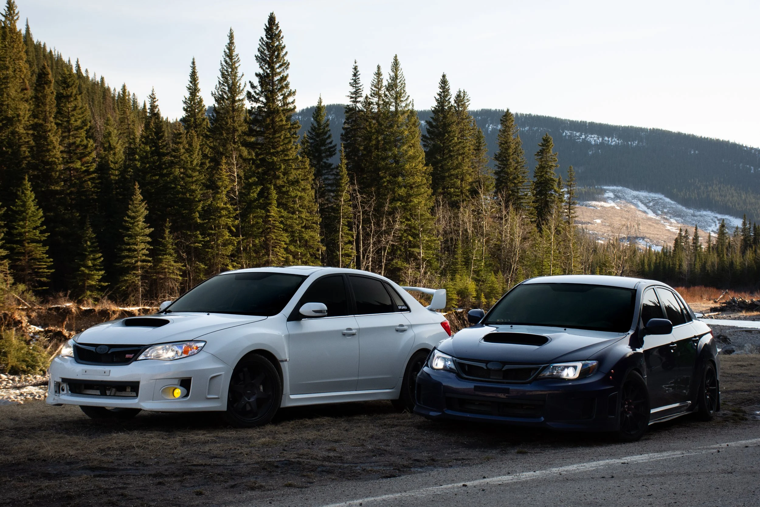 DSC_2568.jpg