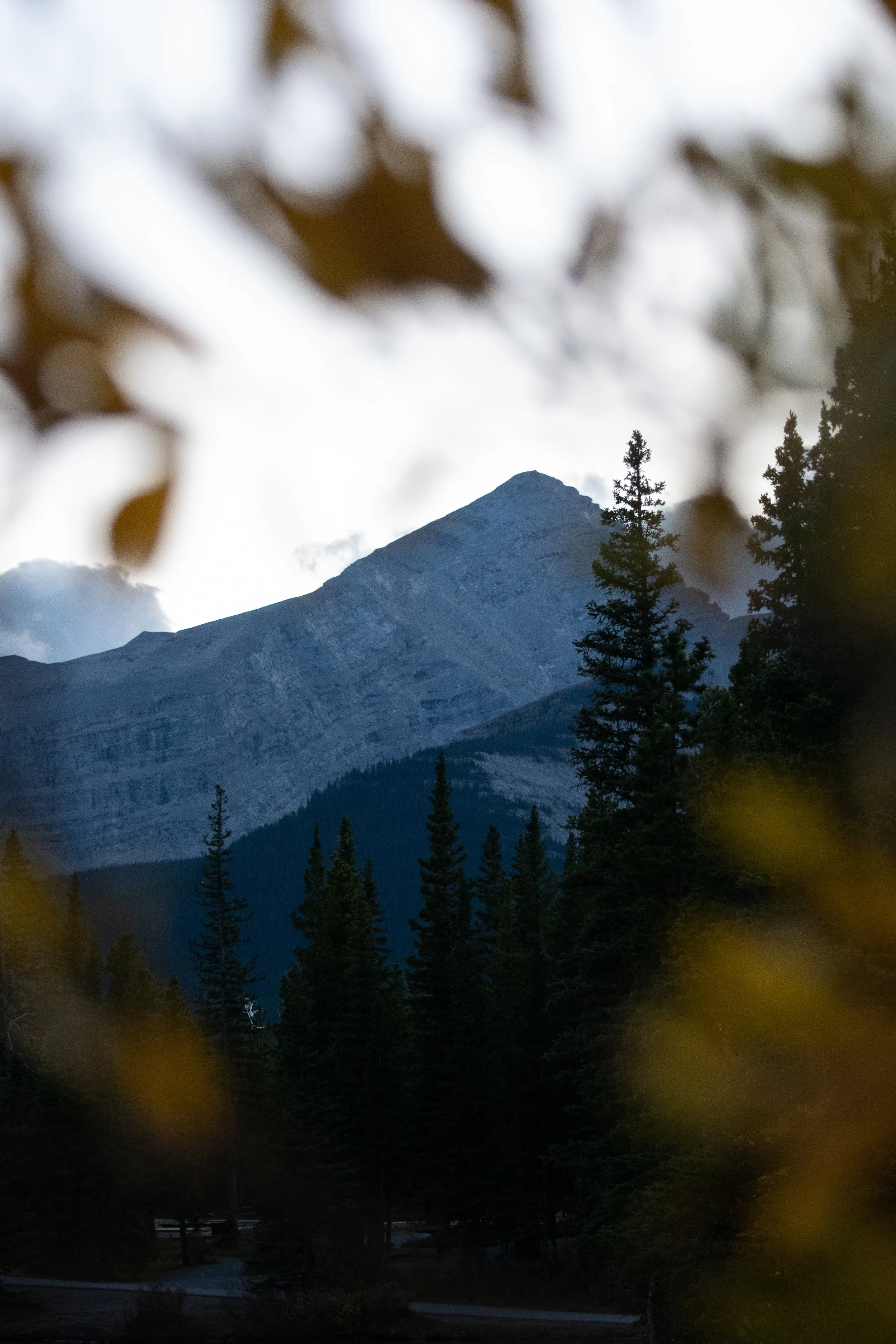 DSC_2075.jpg