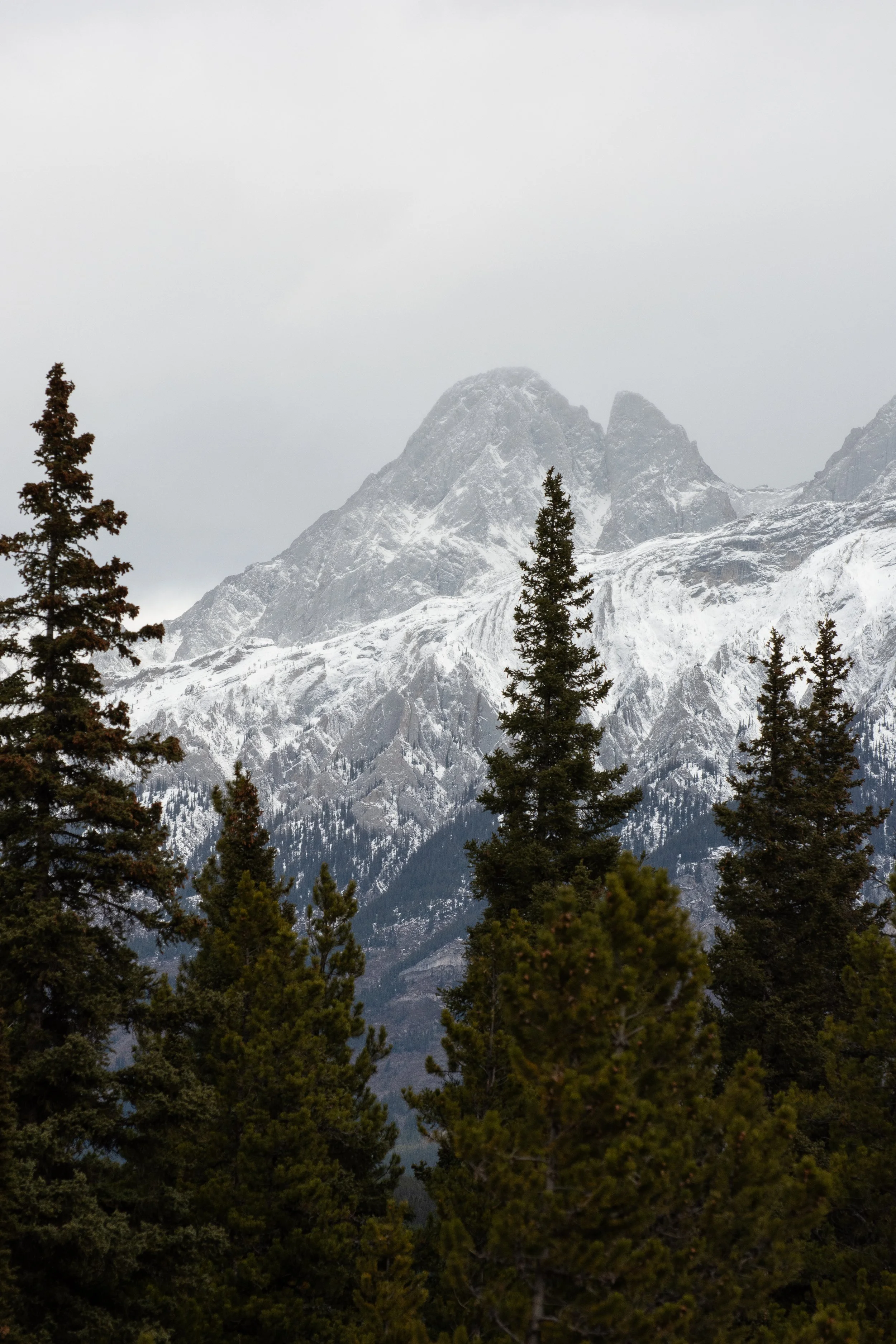DSC_6802.jpg