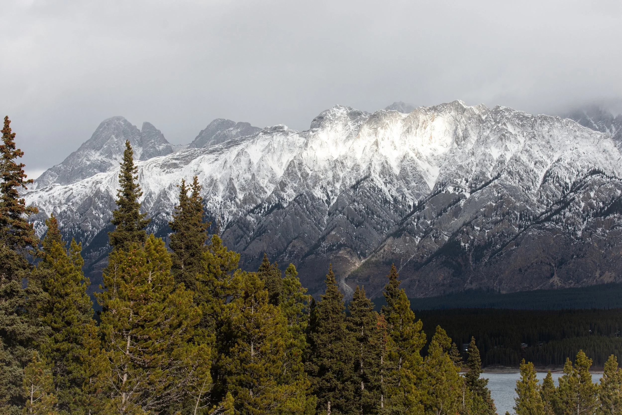 DSC_6785.jpg