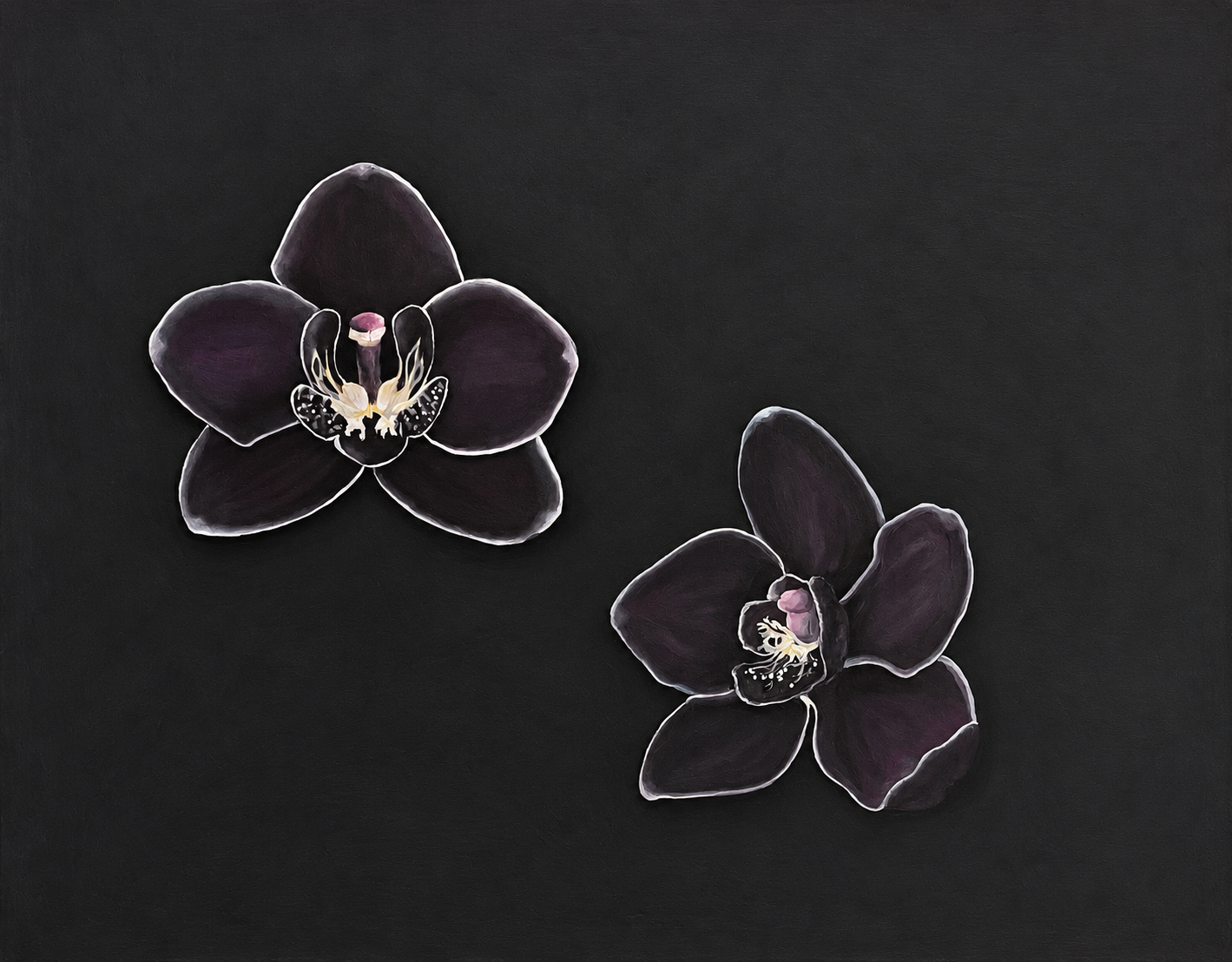 Orchids, 2026
Acrylic on canvas
48" x 60"