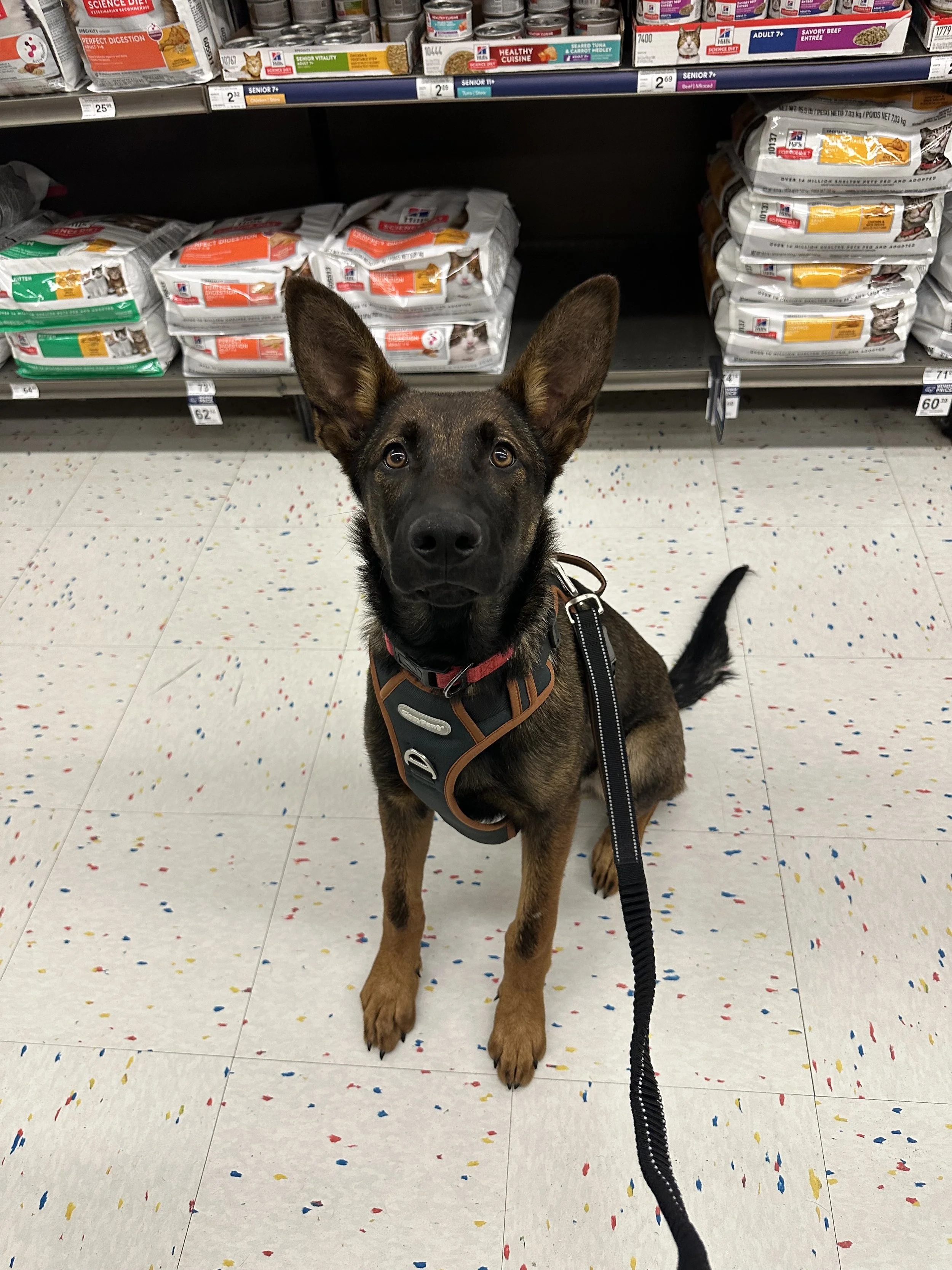 60 min Outing/Training Visit