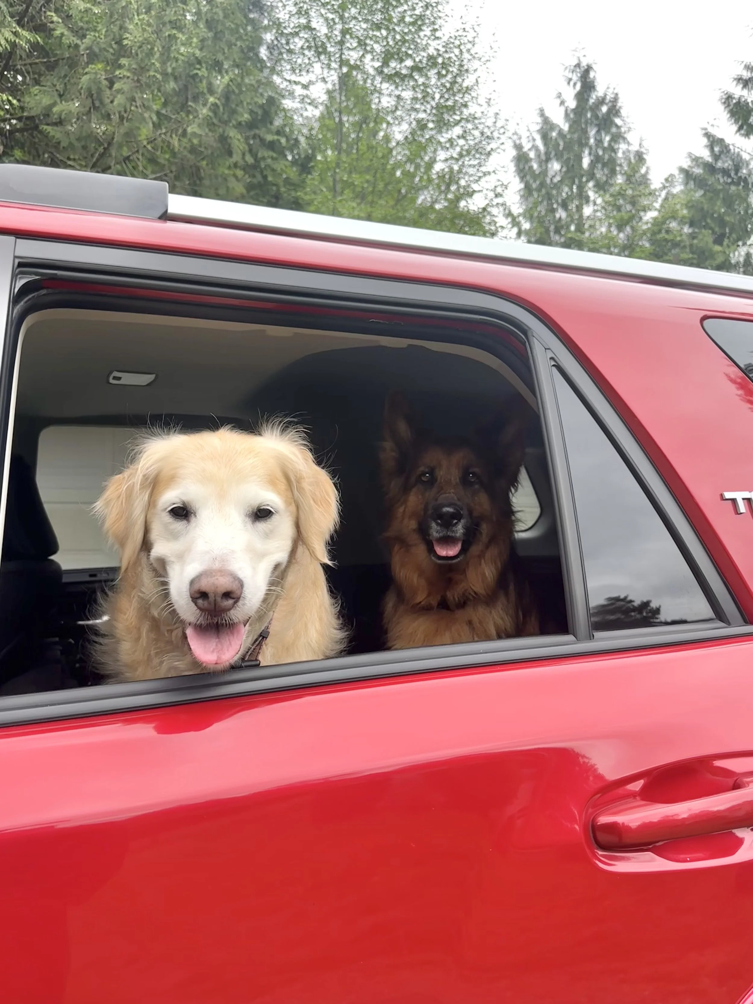Pick Up & Drop Off Transportation- Local