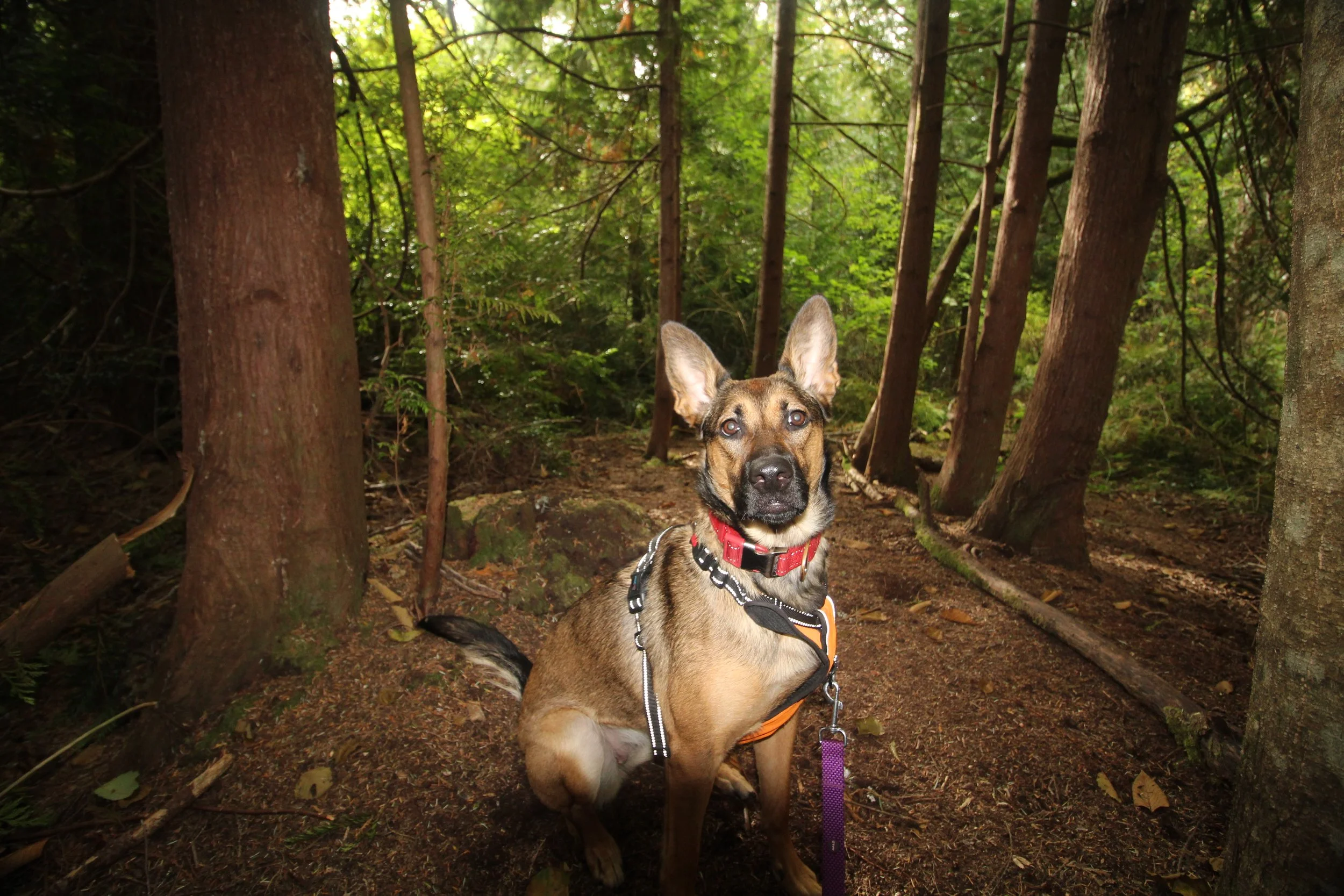 IMG_3245.JPG