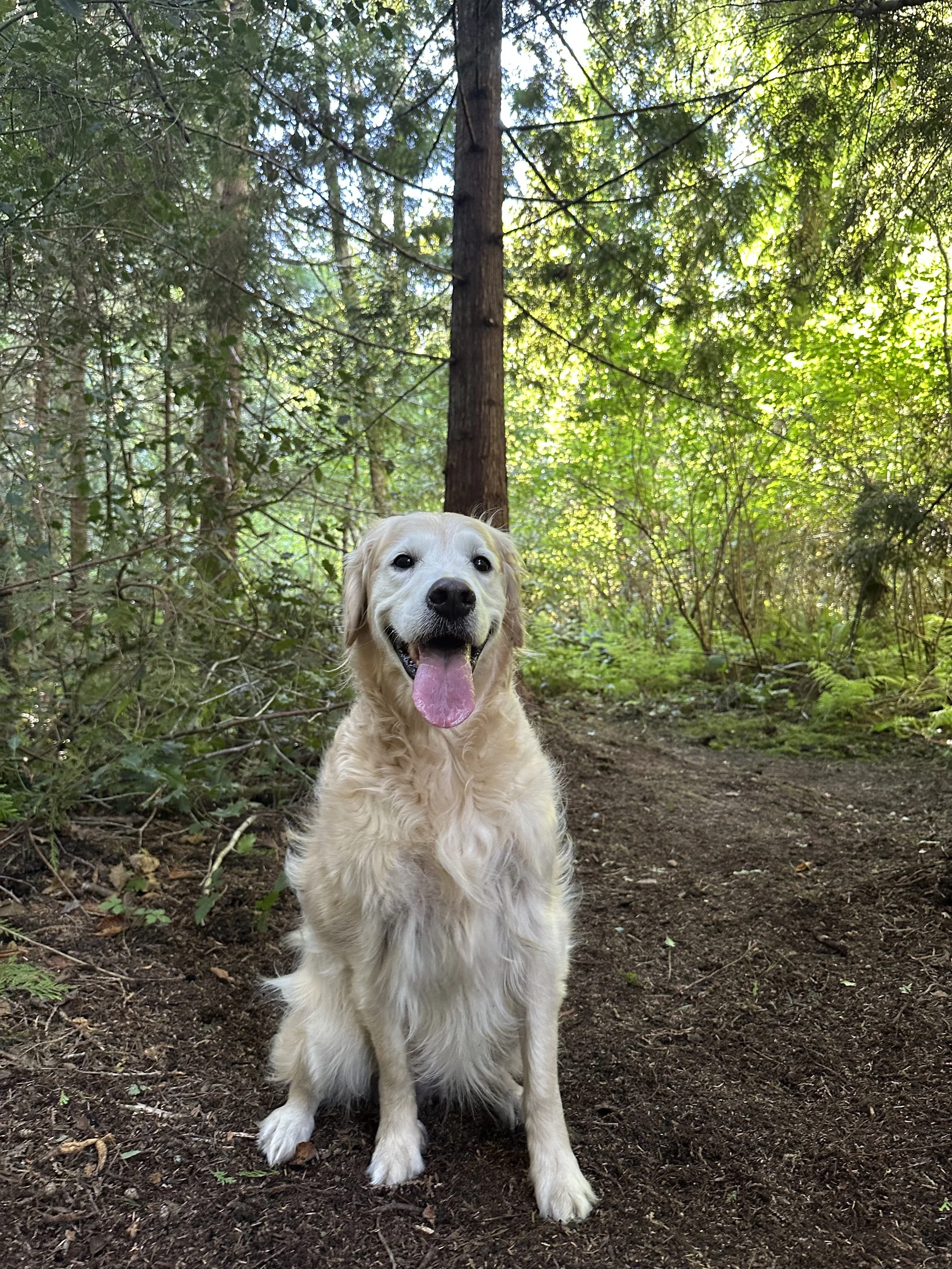 60 min Adventure Walk