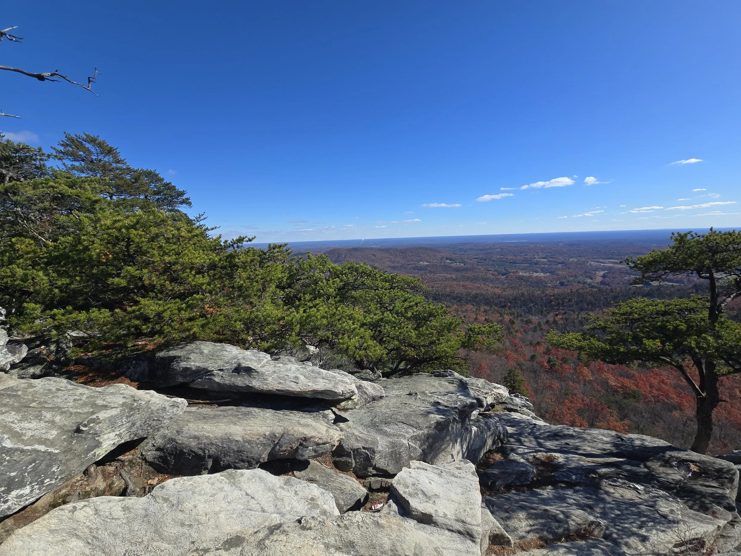 Scenic view from a mountain with green trees and a vast landscape stretching to the horizon under a bright blue sky with scattered clouds.