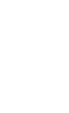A simple white outline of a leafed branch on a black background.