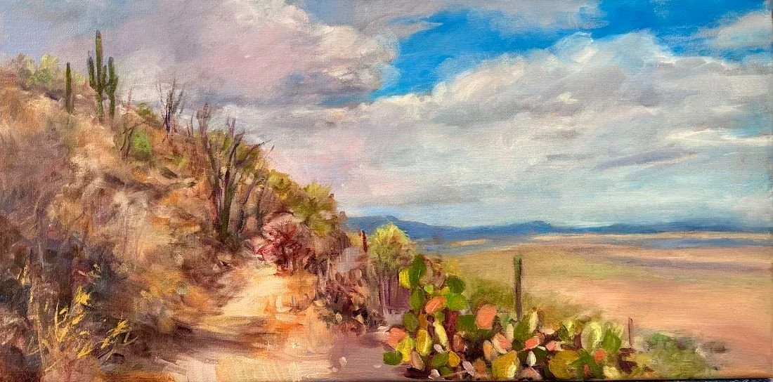 landscapedesert-shanahan-sylvia (1).jpeg