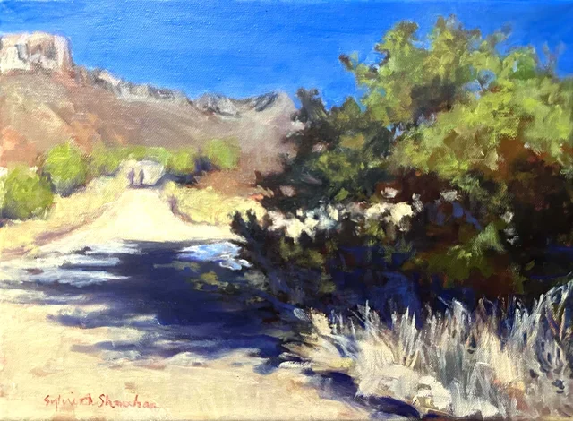 Albuquerque Trail