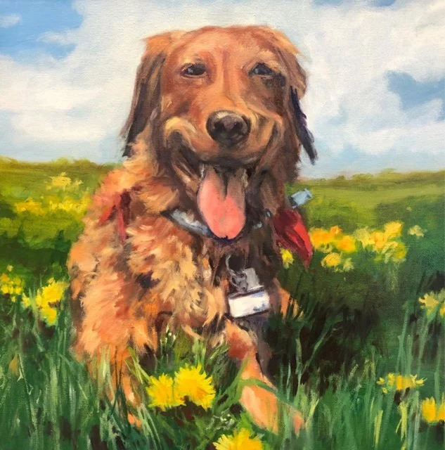 Commissioned Pet Portrait