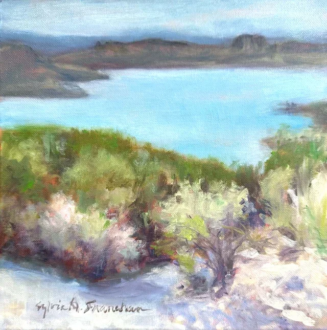 Magic Hour: Lake Havasu