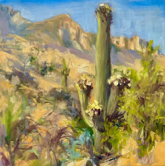 Catalina Hike 1