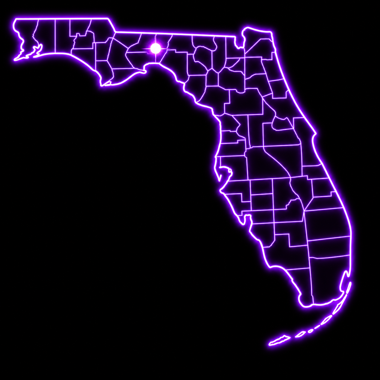 Map of Florida highlighting Tallahassee and Axentron's North Florida service area. Neon outline map of Florida with county borders illuminated in purple on a black background.