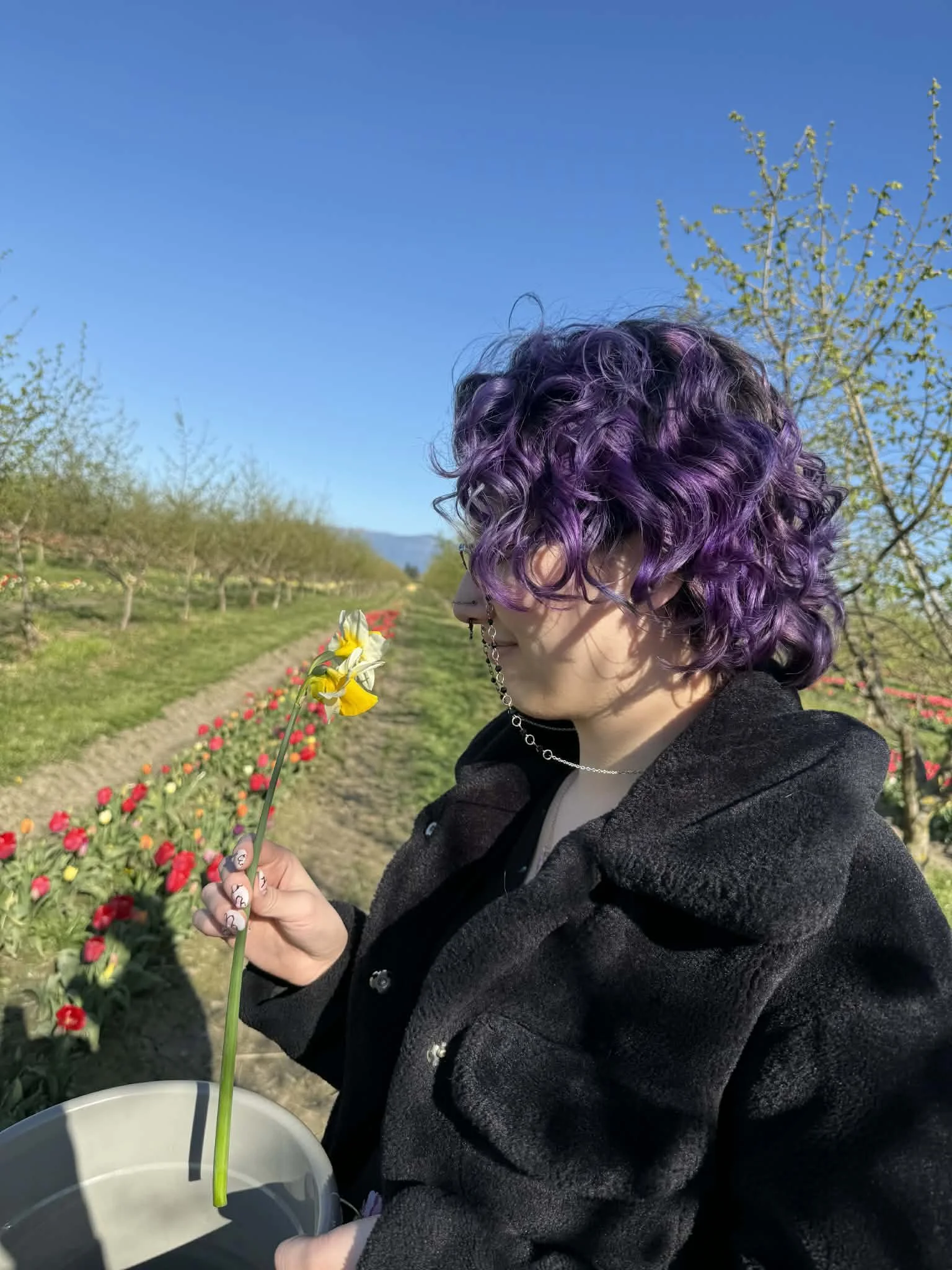 Person with curly purple hair holding a flower, planting it in a white bucket outdoors with a field of flowers and trees under a clear blue sky.