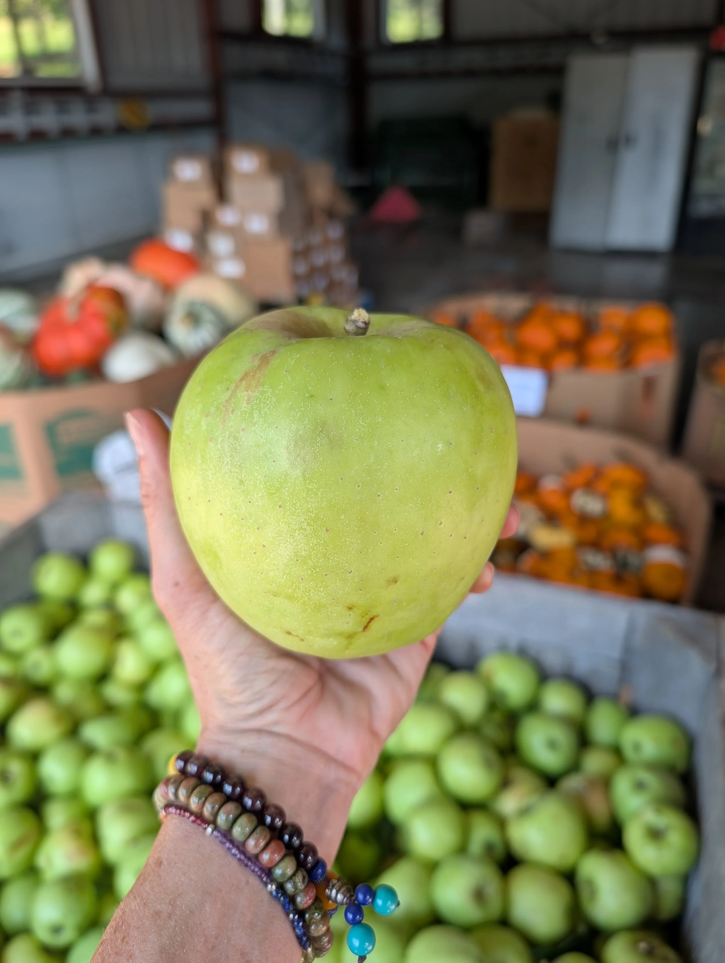 A person holding a large green apple with a brownish spot, background shows various boxes of apples in an indoor or outdoor market setting.