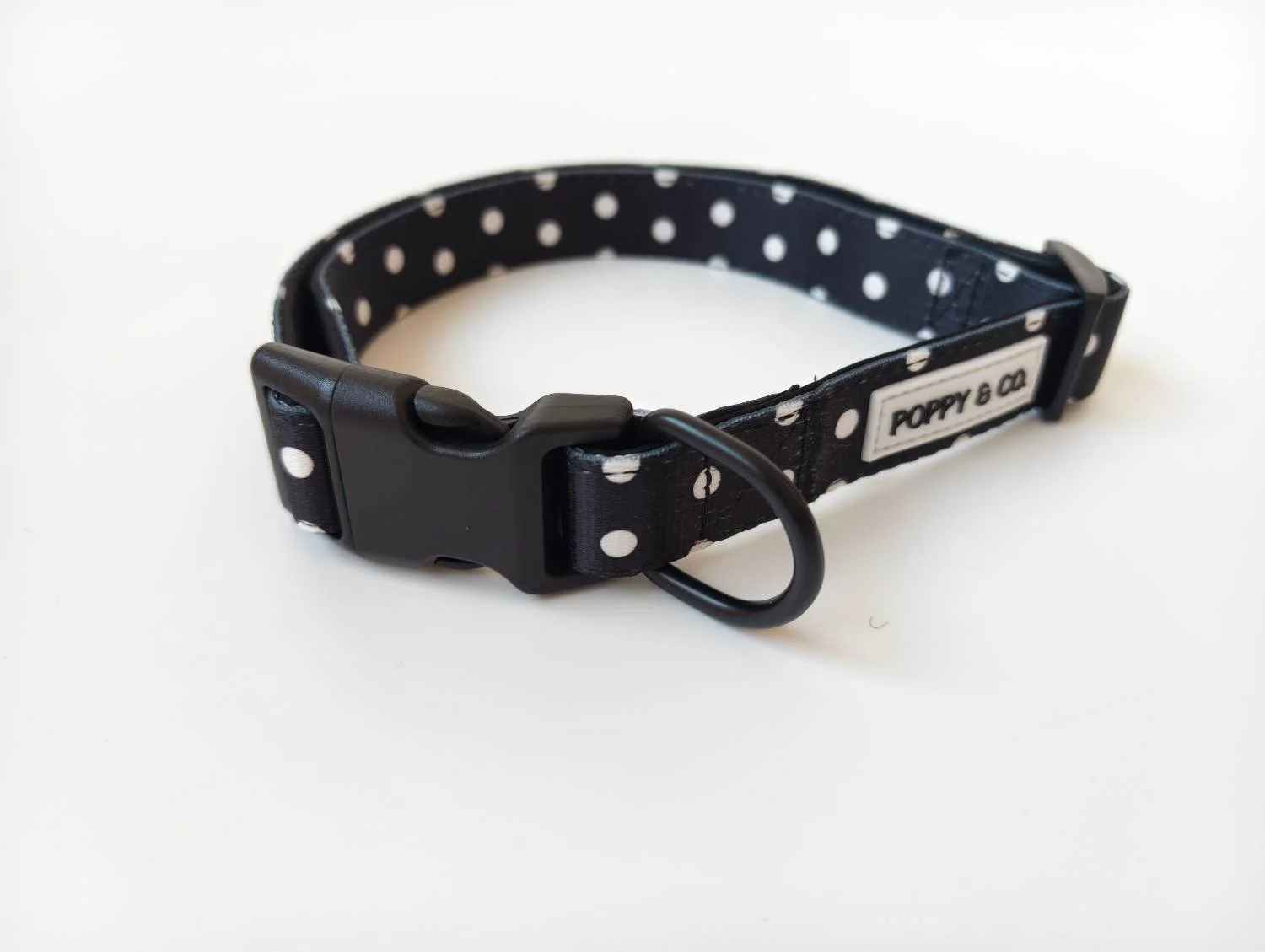 Polka Dot Collar.jpg