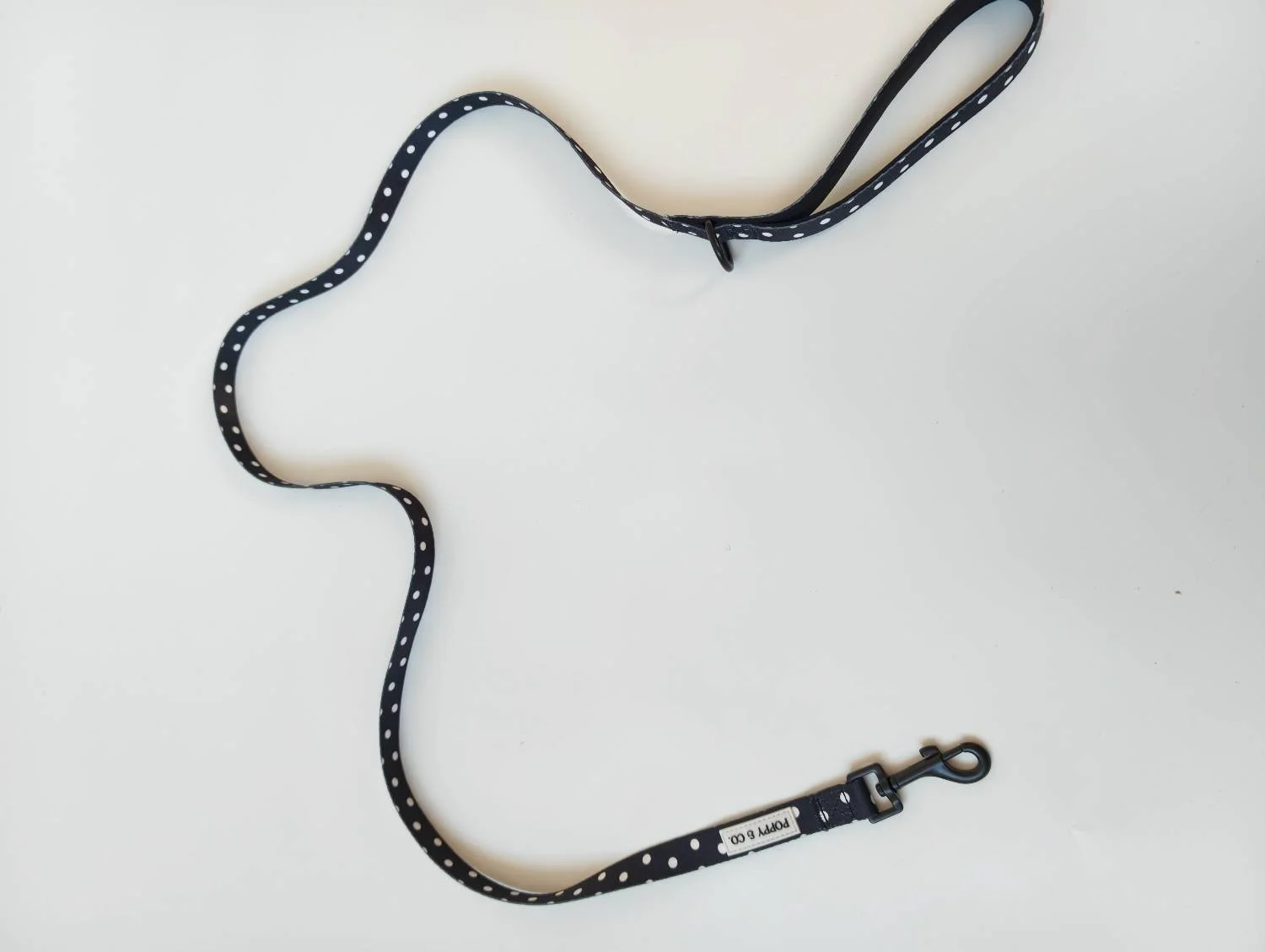 Polka Dot Leash.jpg