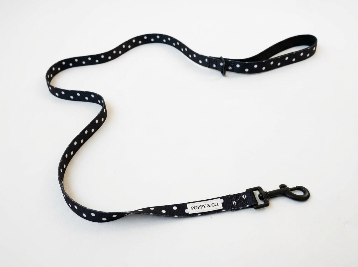 imgg-80p-id32l2e3.png