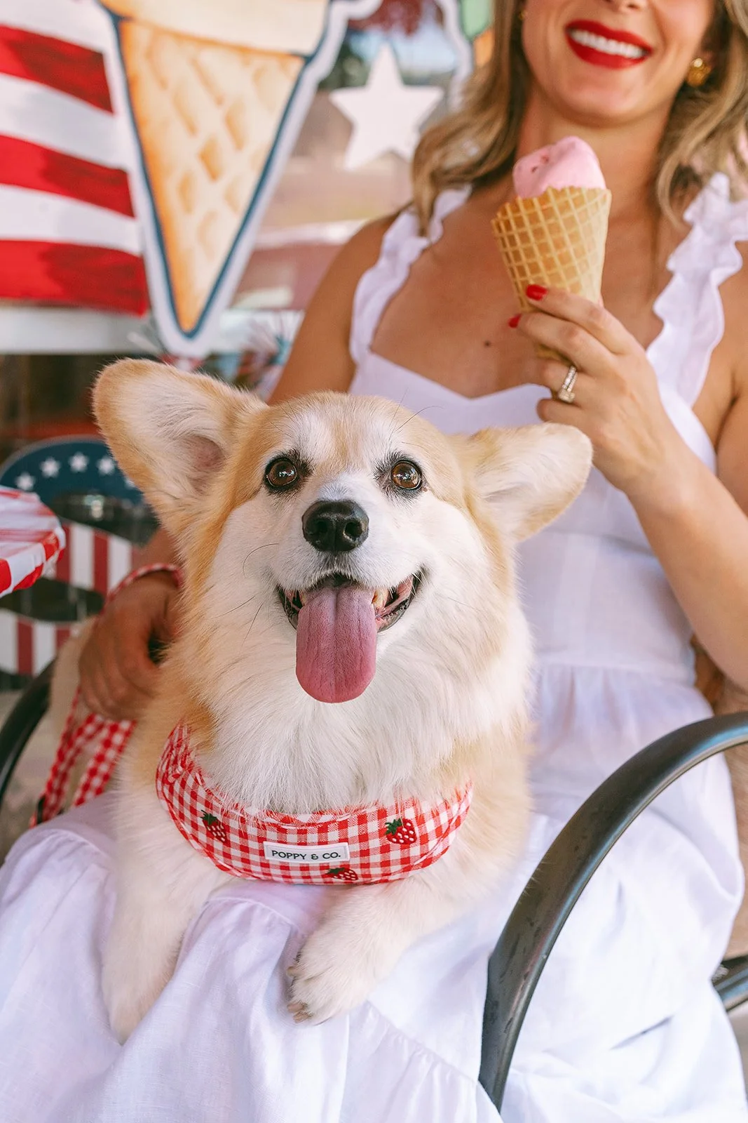 dog+old town+corgi-79_websize.jpg