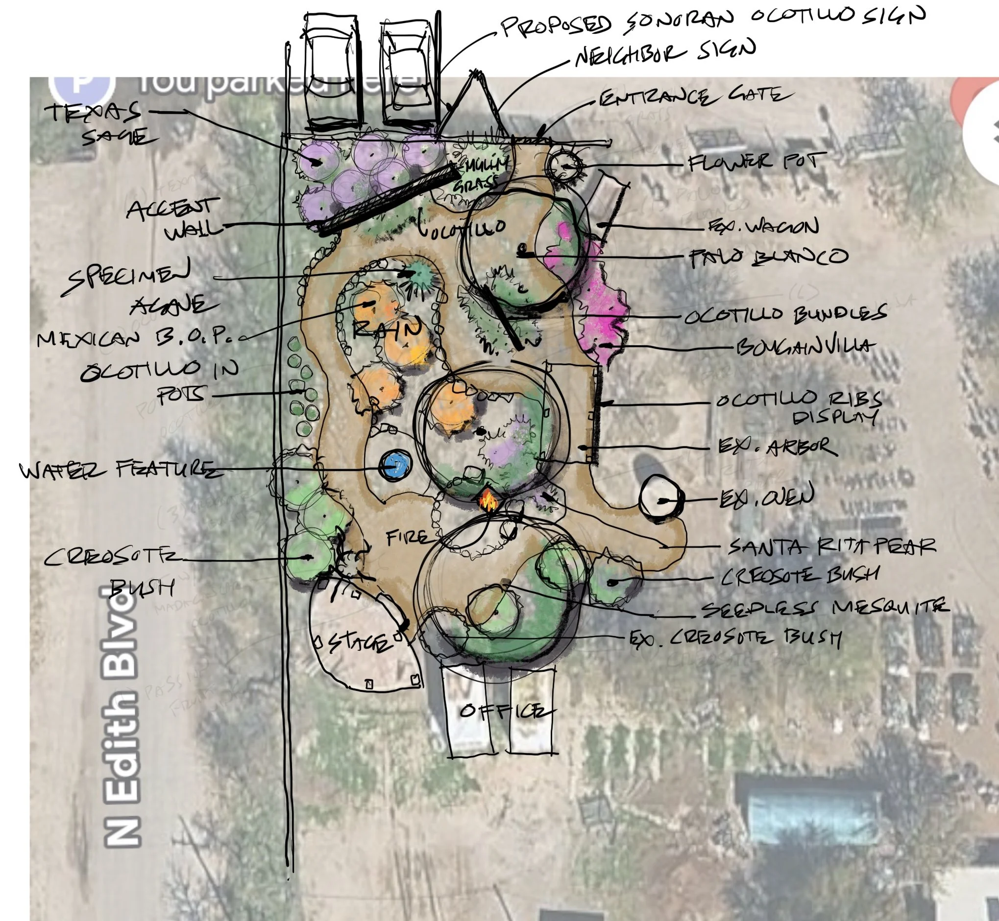 Show Garden for Sonoran Ocotillo