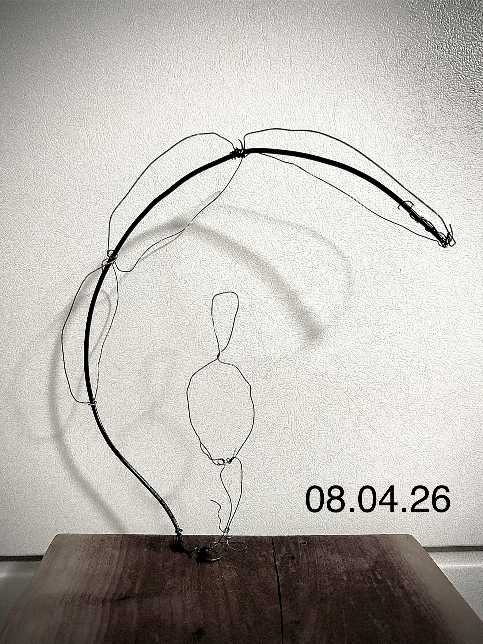 Transit shelter wire model