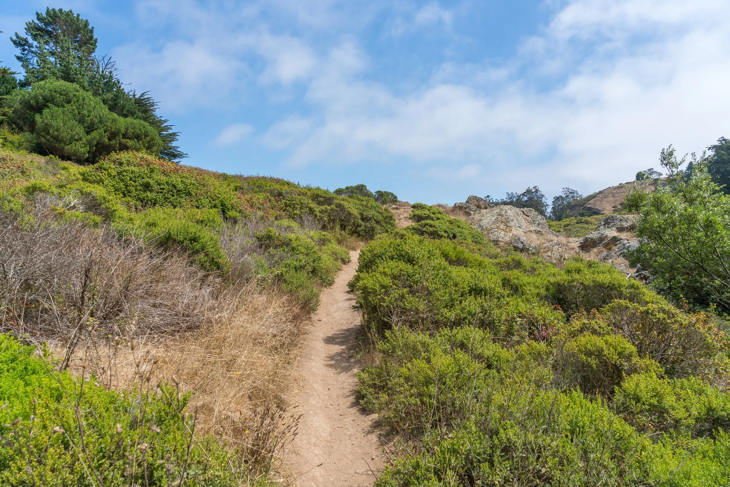 A dirt hiking trail winding through green shrubs and small trees on a hillside under a partly cloudy blue sky.