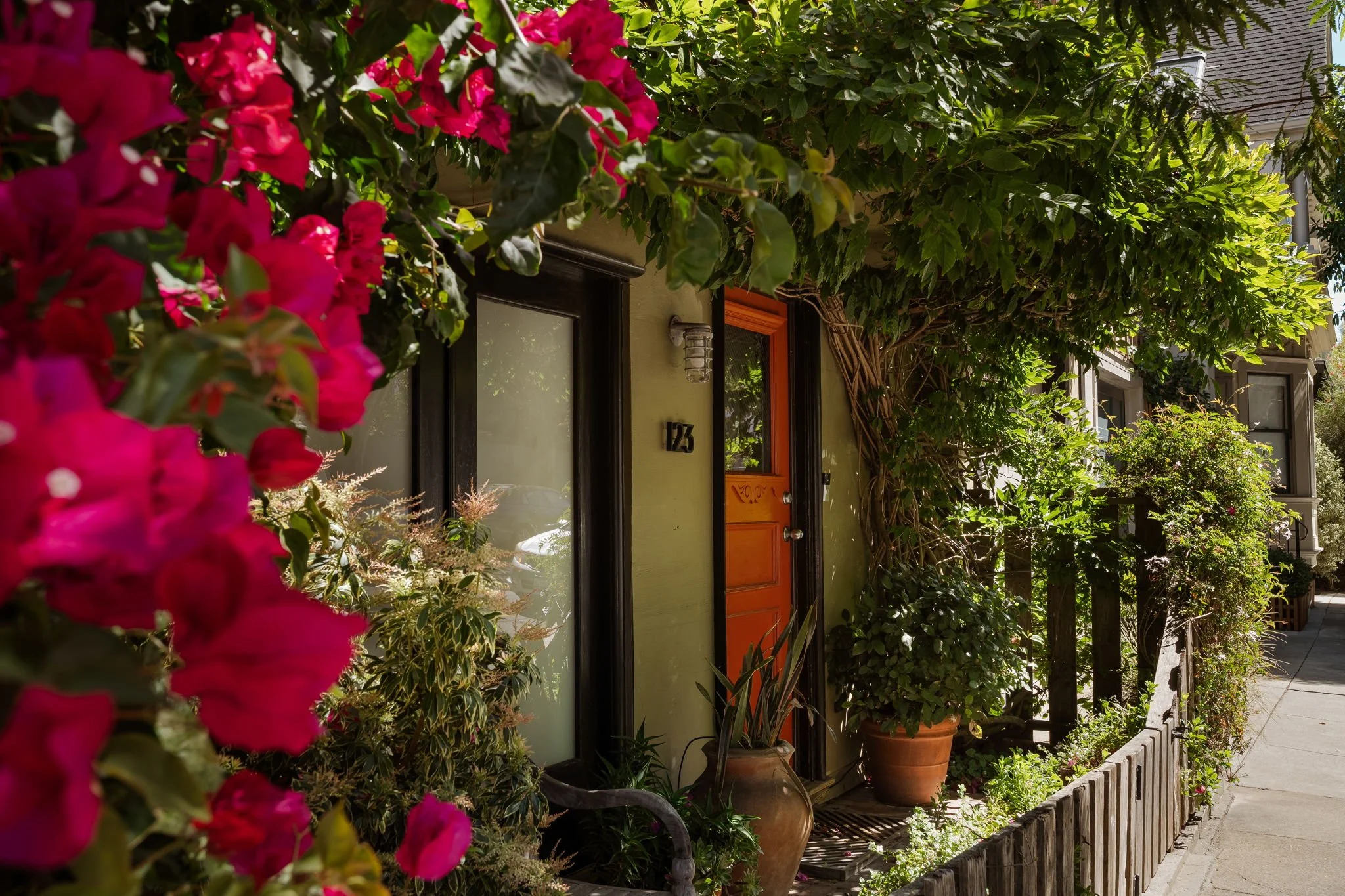 Flowering plants and trees lining a sidewalk in front of a house with the house number 123, a black-framed window, and an orange door, with sunlight and shadow creating a bright, welcoming scene.
