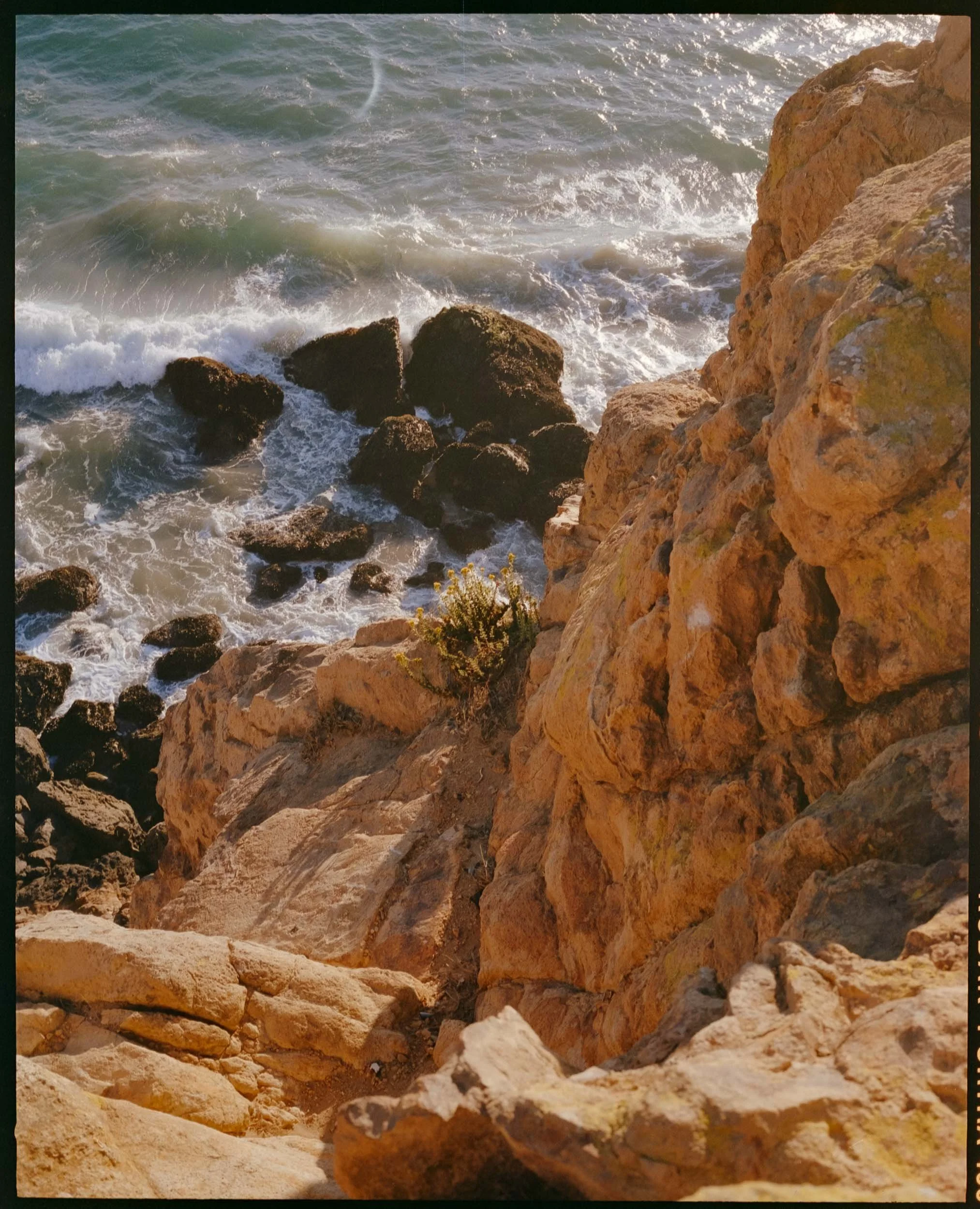 medium format-film-photography-landscapes-malibu-2.jpg