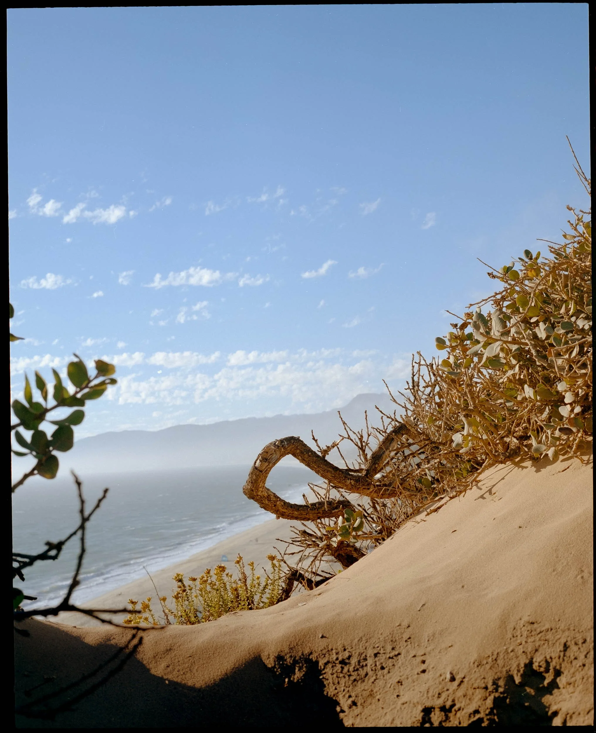 medium format-film-photography-landscapes-malibu-1.jpg