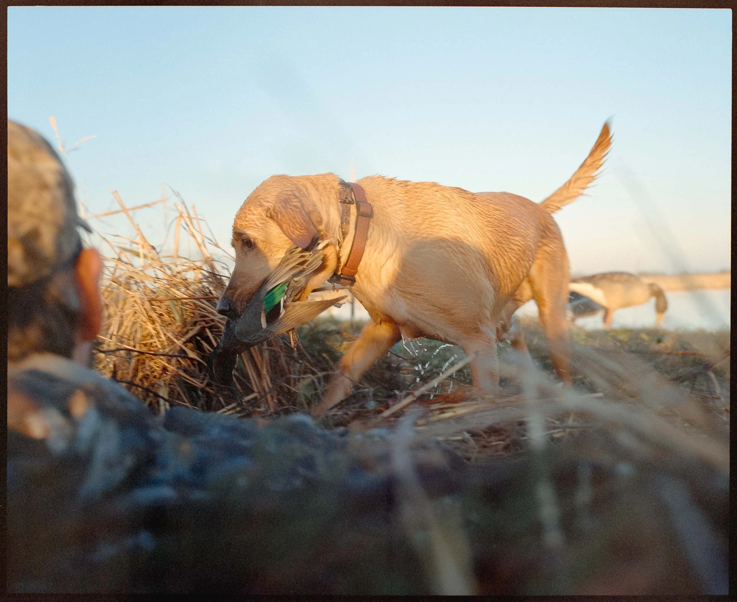 medium format-film-photography-louisiana-duck-hunting-4.jpg